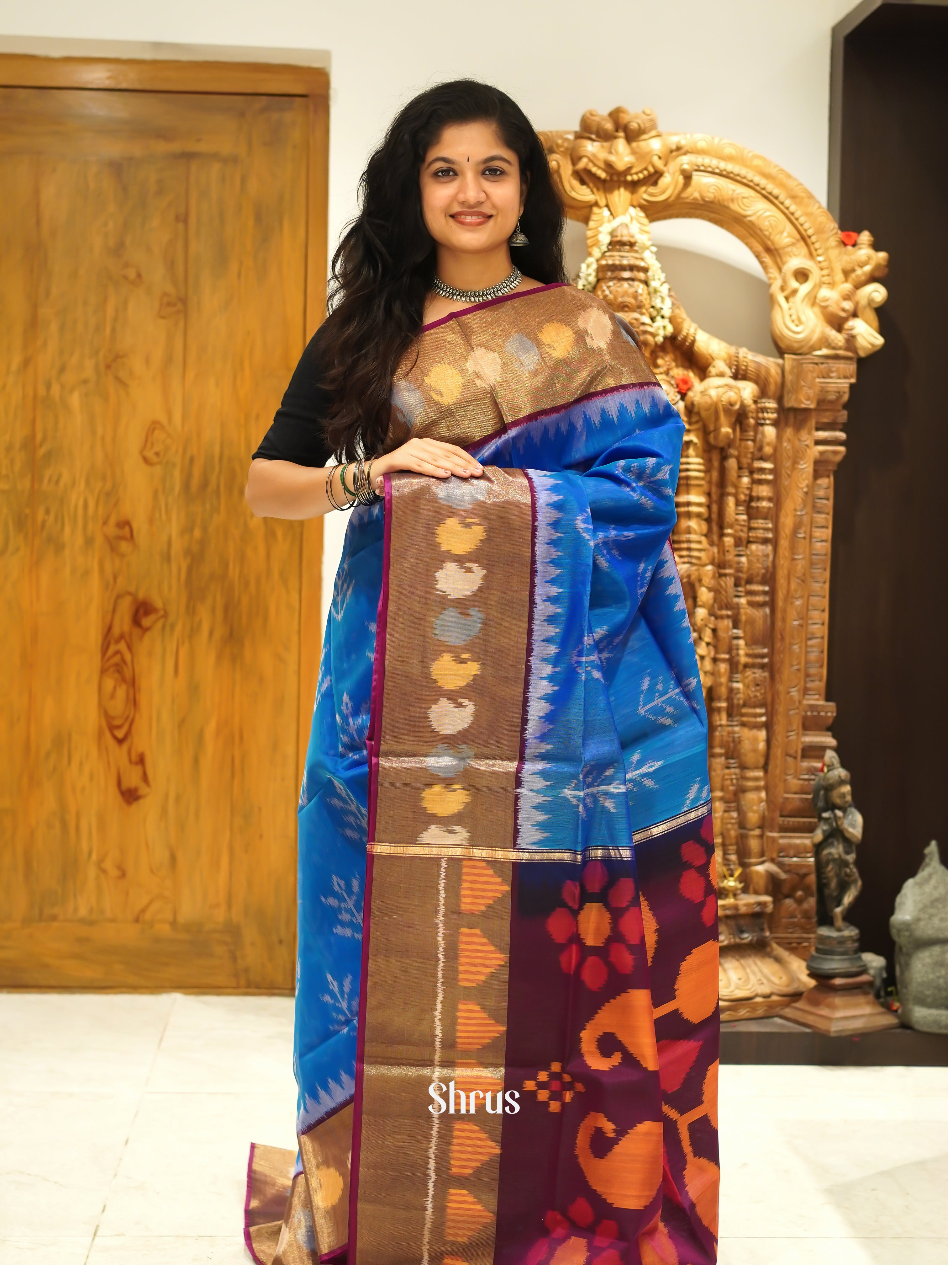 Blue & Wine - Pochampally sico Saree