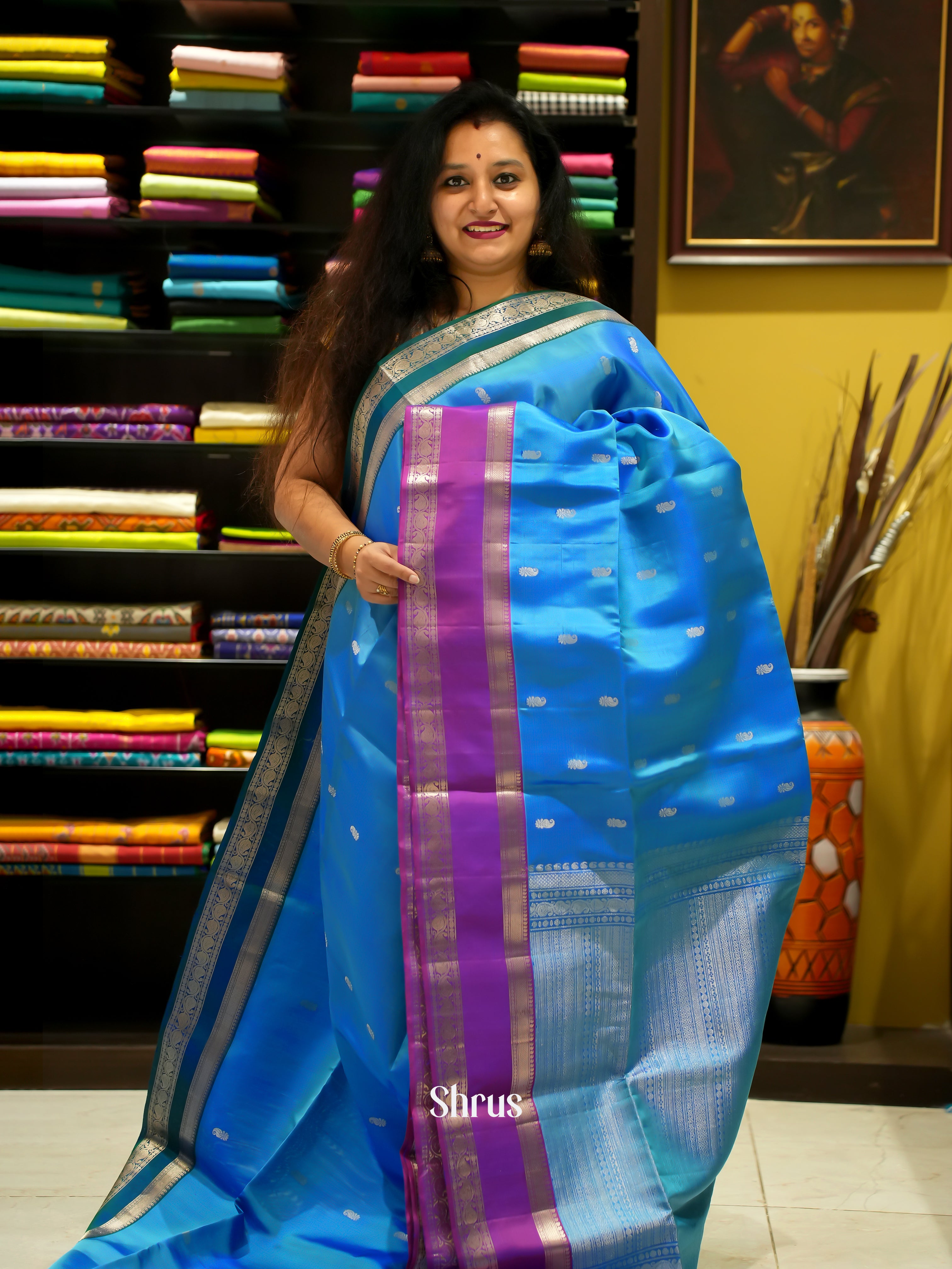 Blue & Purple -Soft Silk Saree