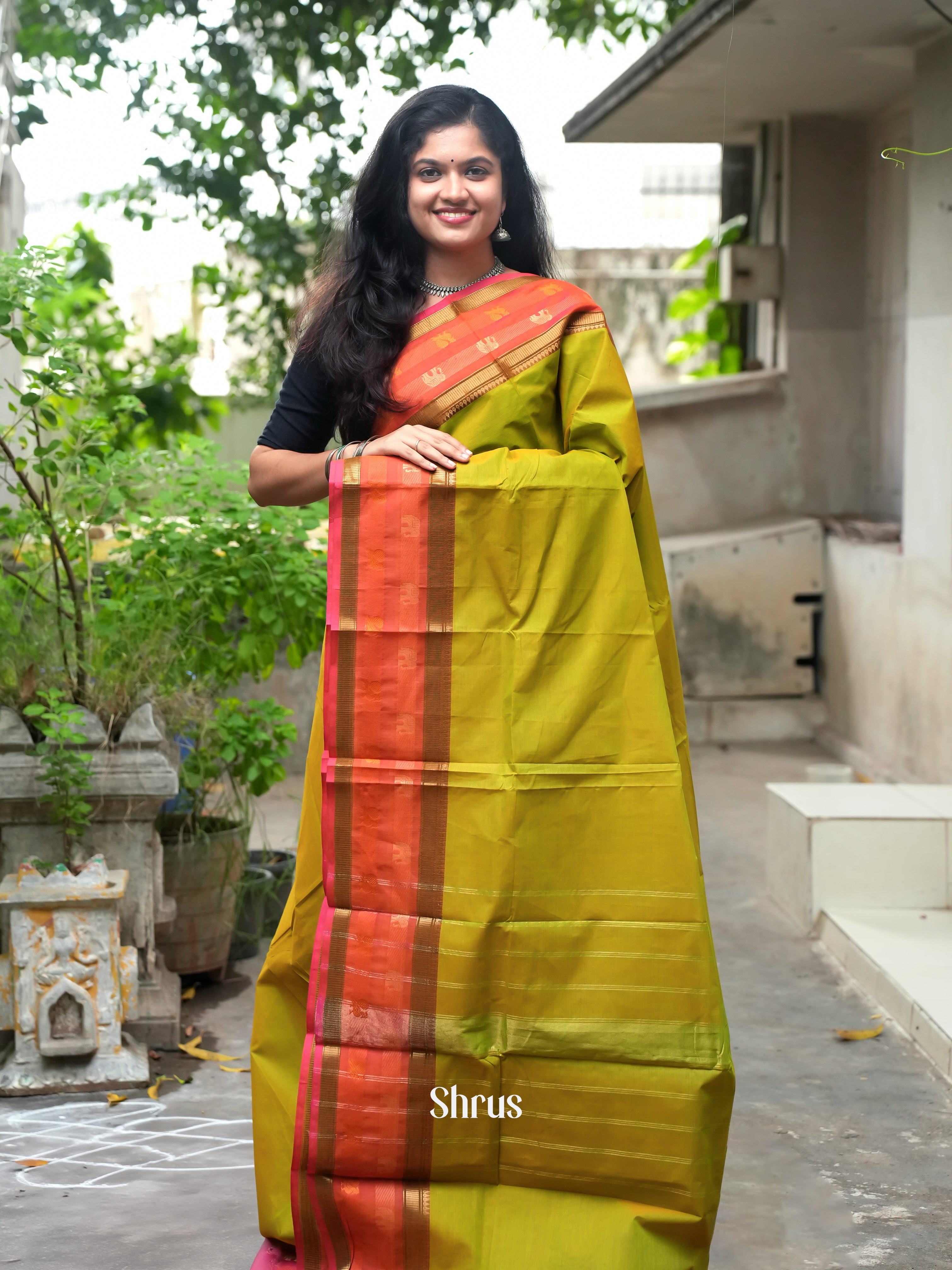 CFS19016 -Chettinad Cotton