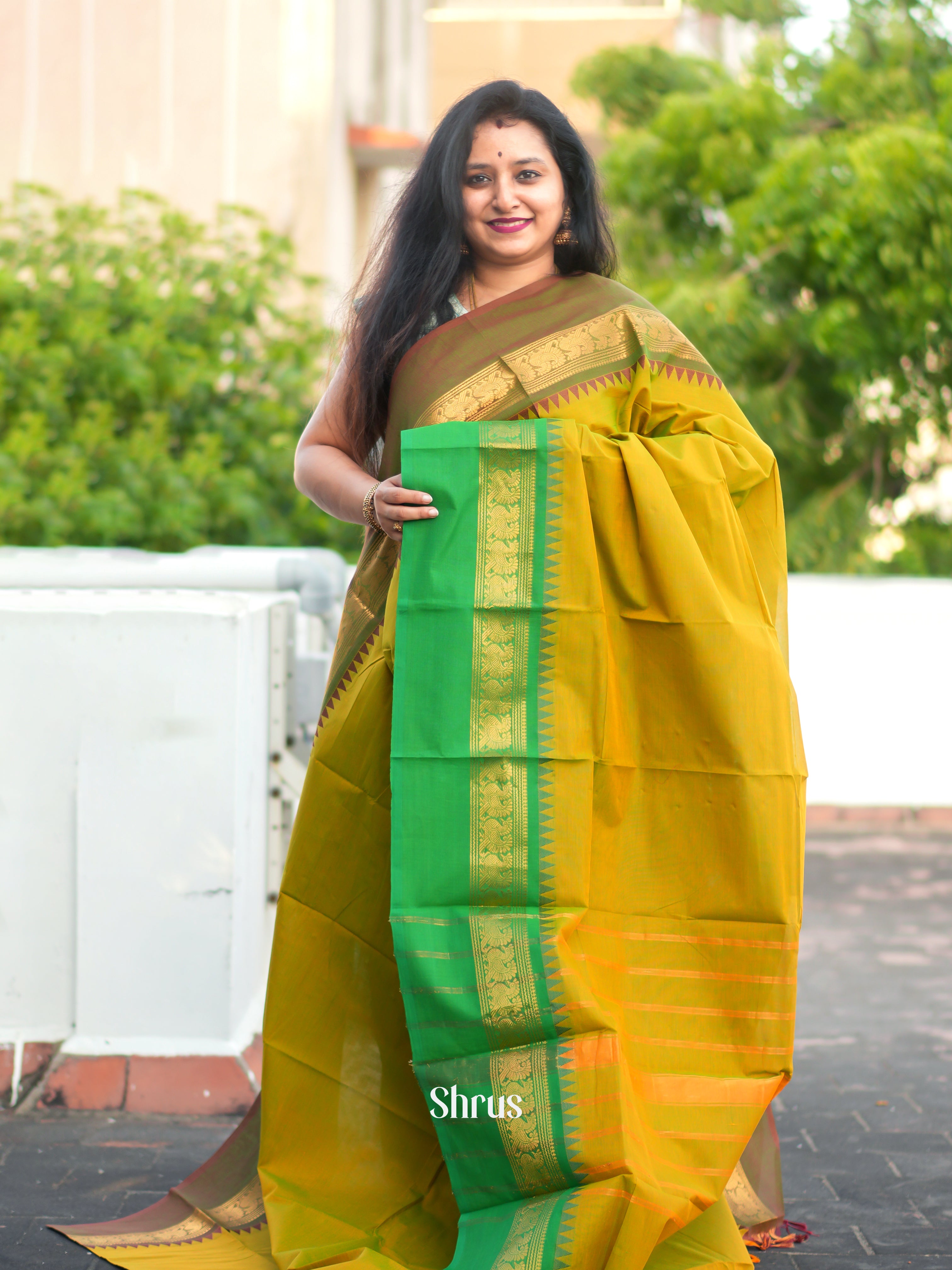 Mustardy Green & Green - Chettinad Cotton Saree