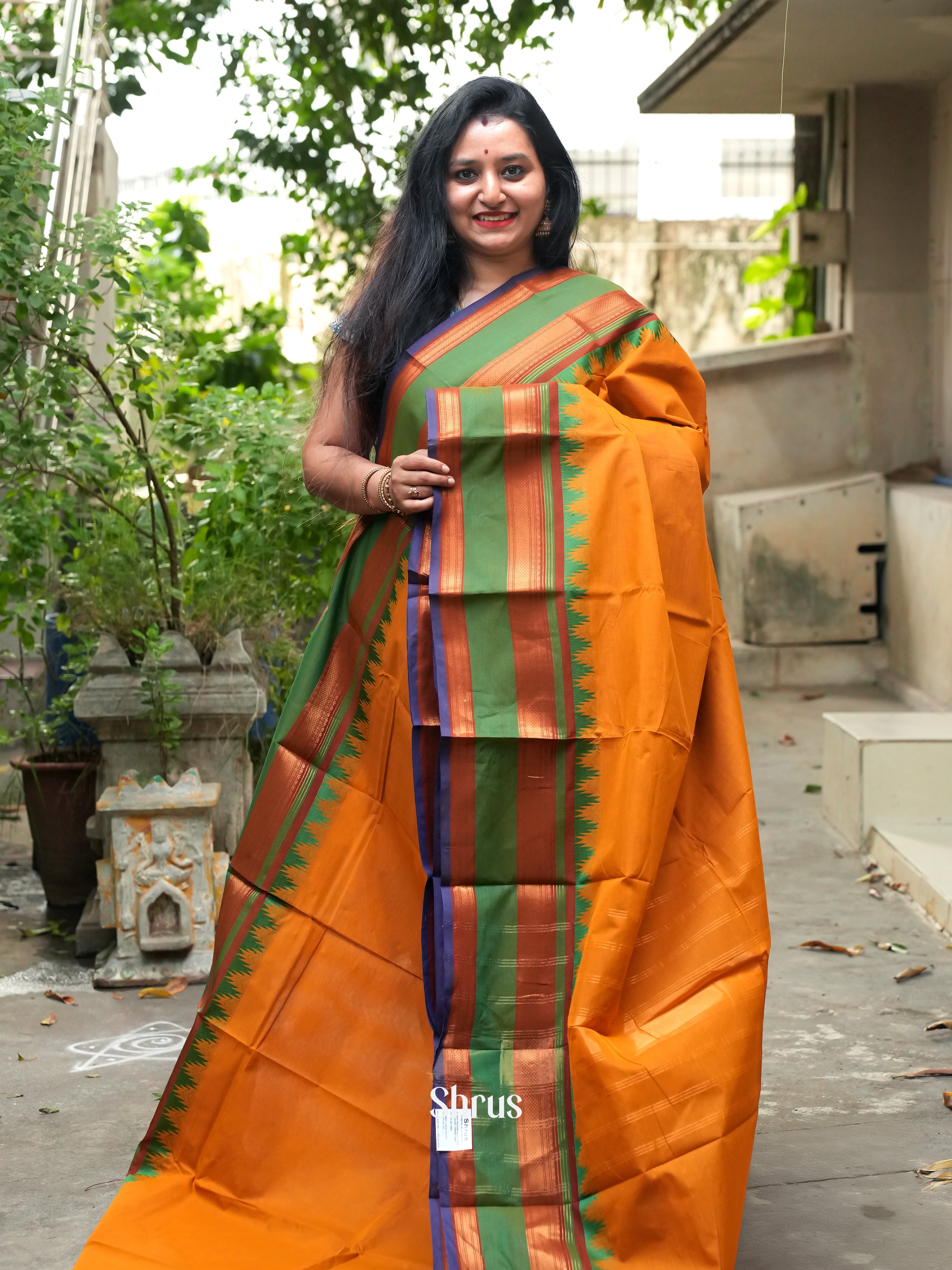 Mambazha Yellow & Green - Chettinad Cotton Saree