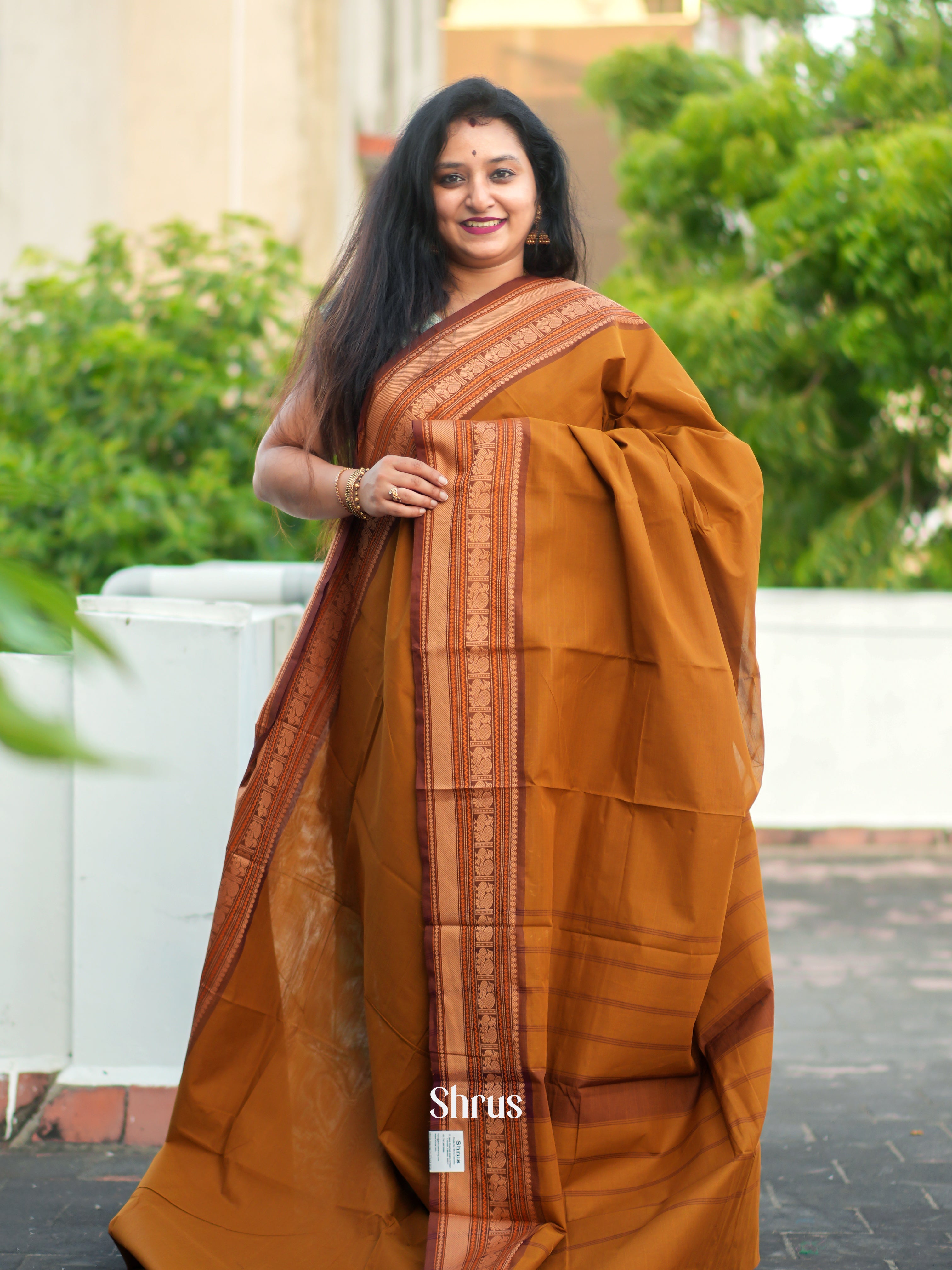 Fenugreek & Brown - Chettinad Cotton Saree