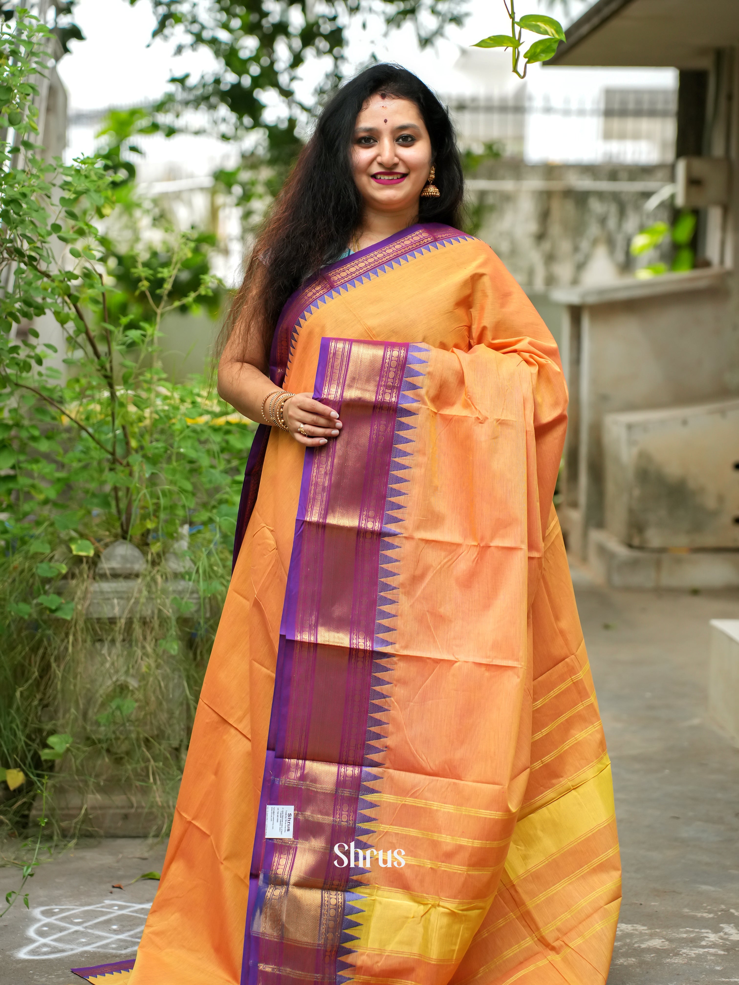 CFS19104  - Chettinad Cotton