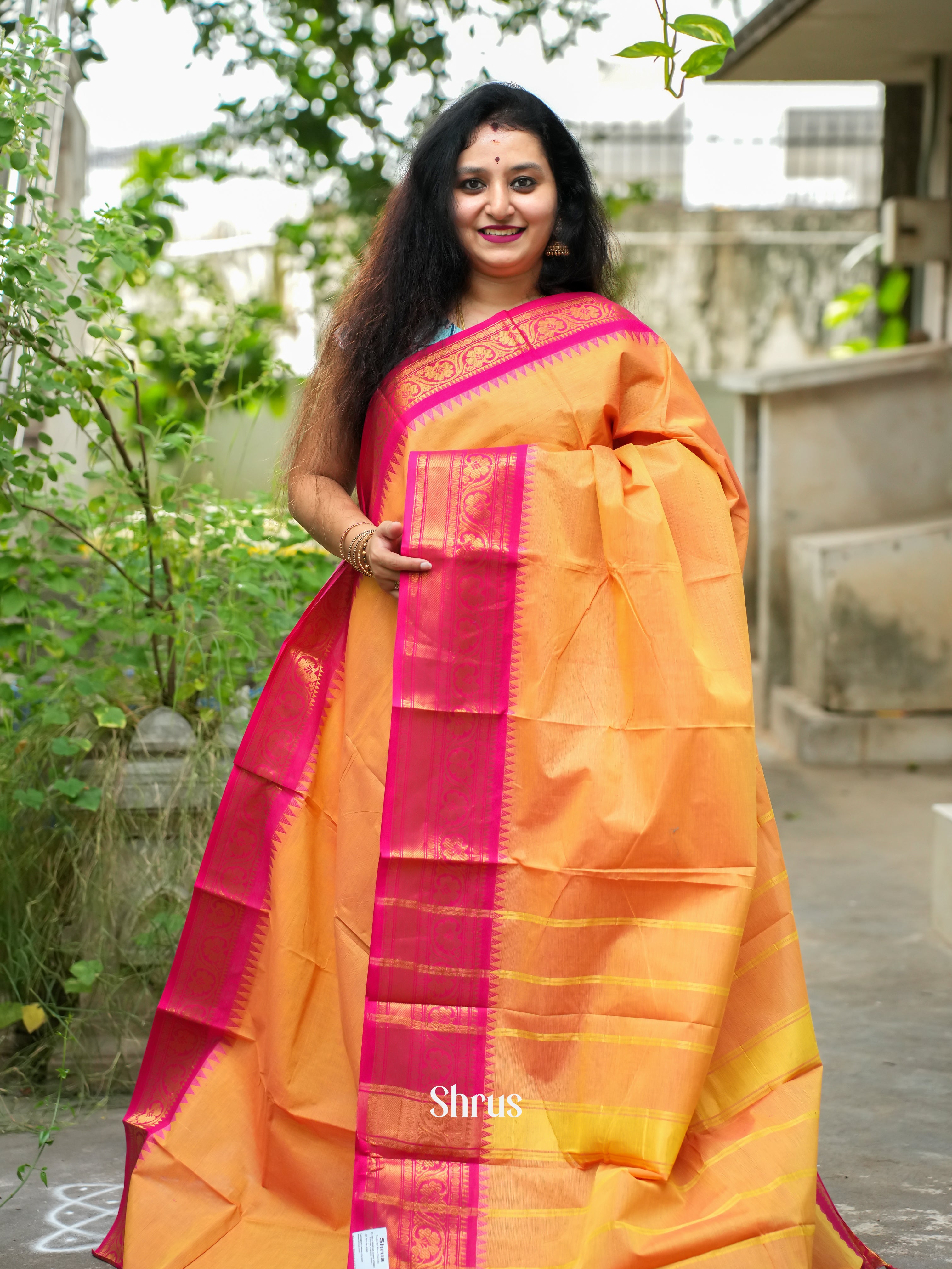 CFS19118 - Chettinad Cotton