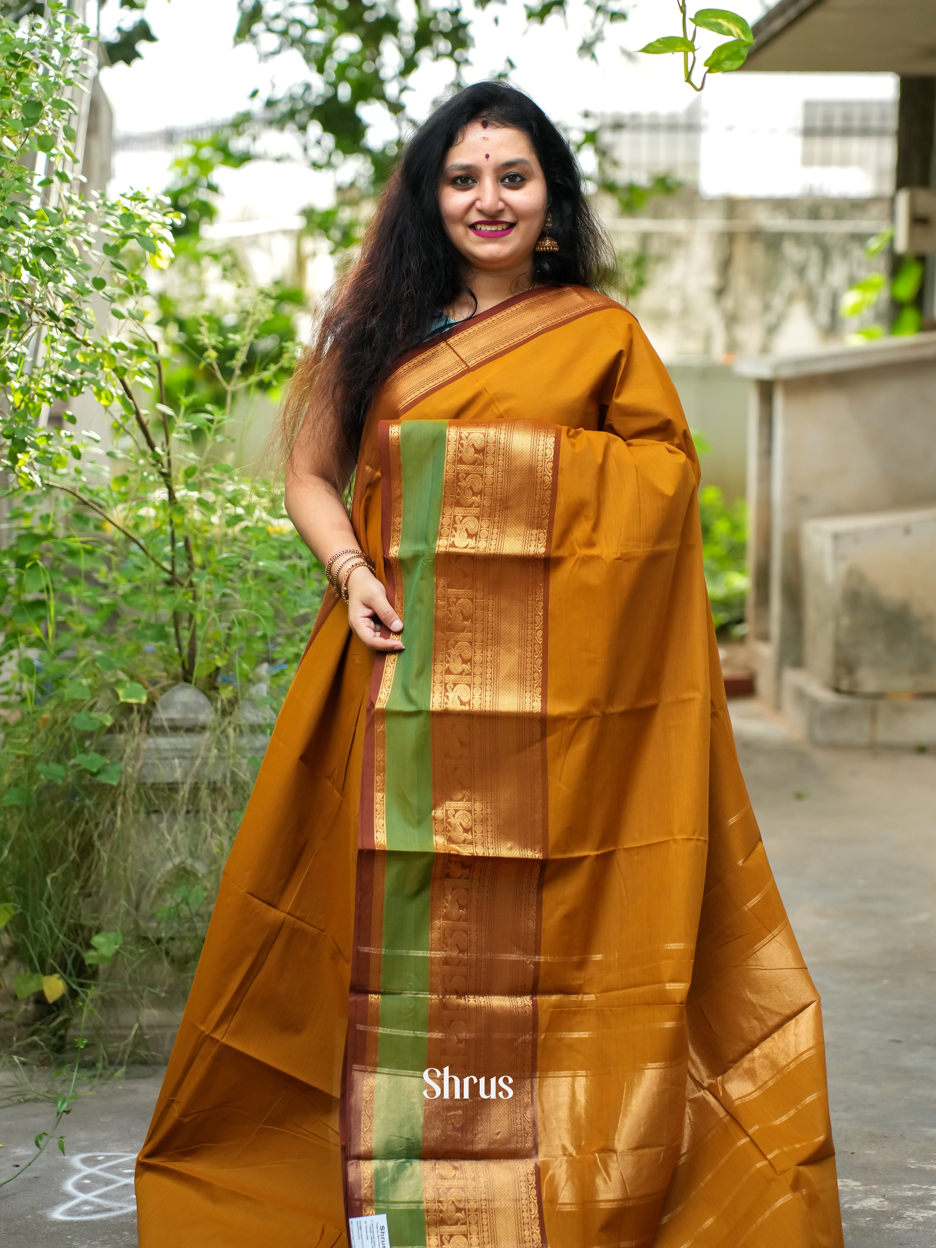 CFS19137 - Chettinad Cotton