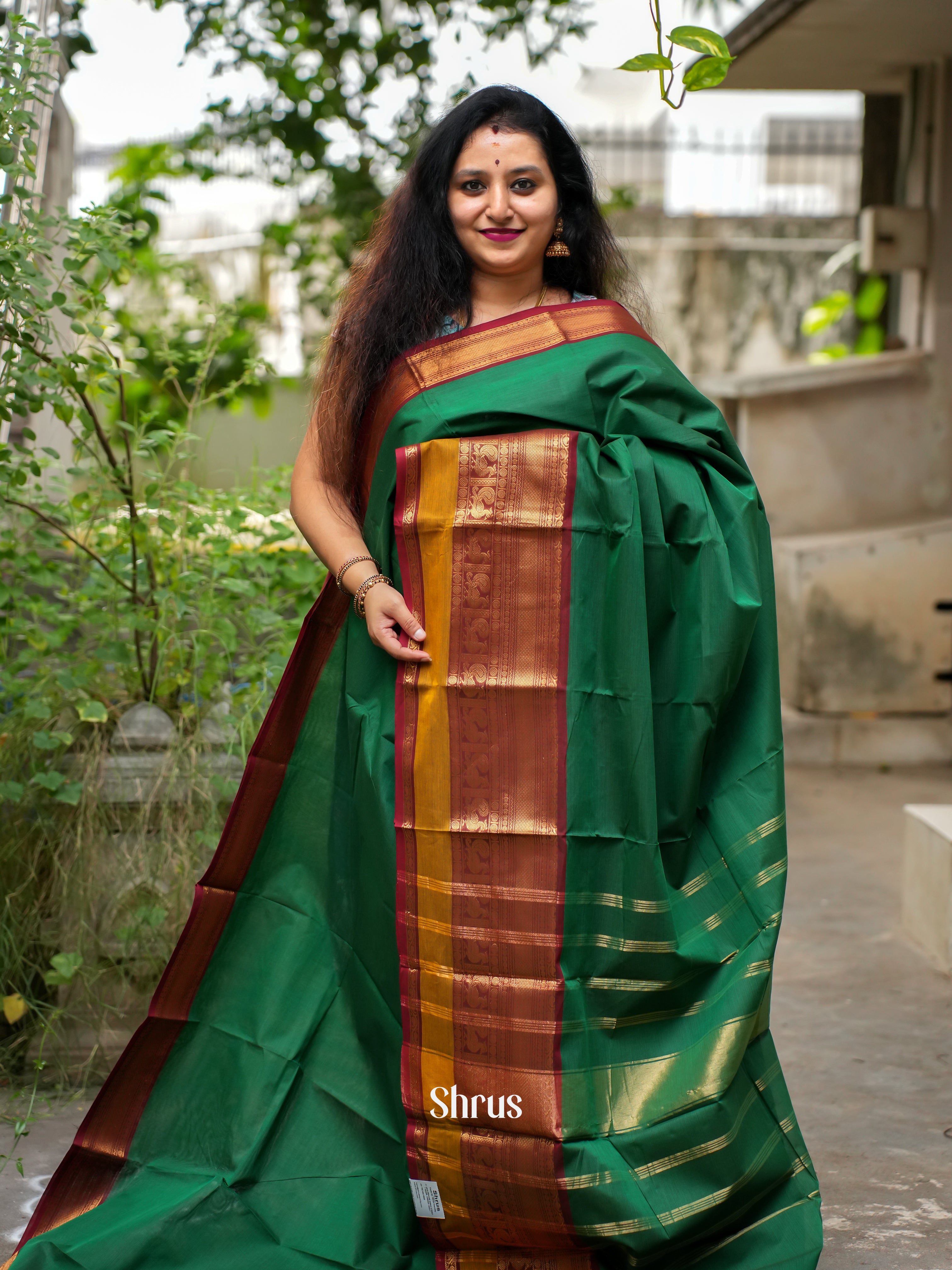 CFS19141 - Chettinad Cotton