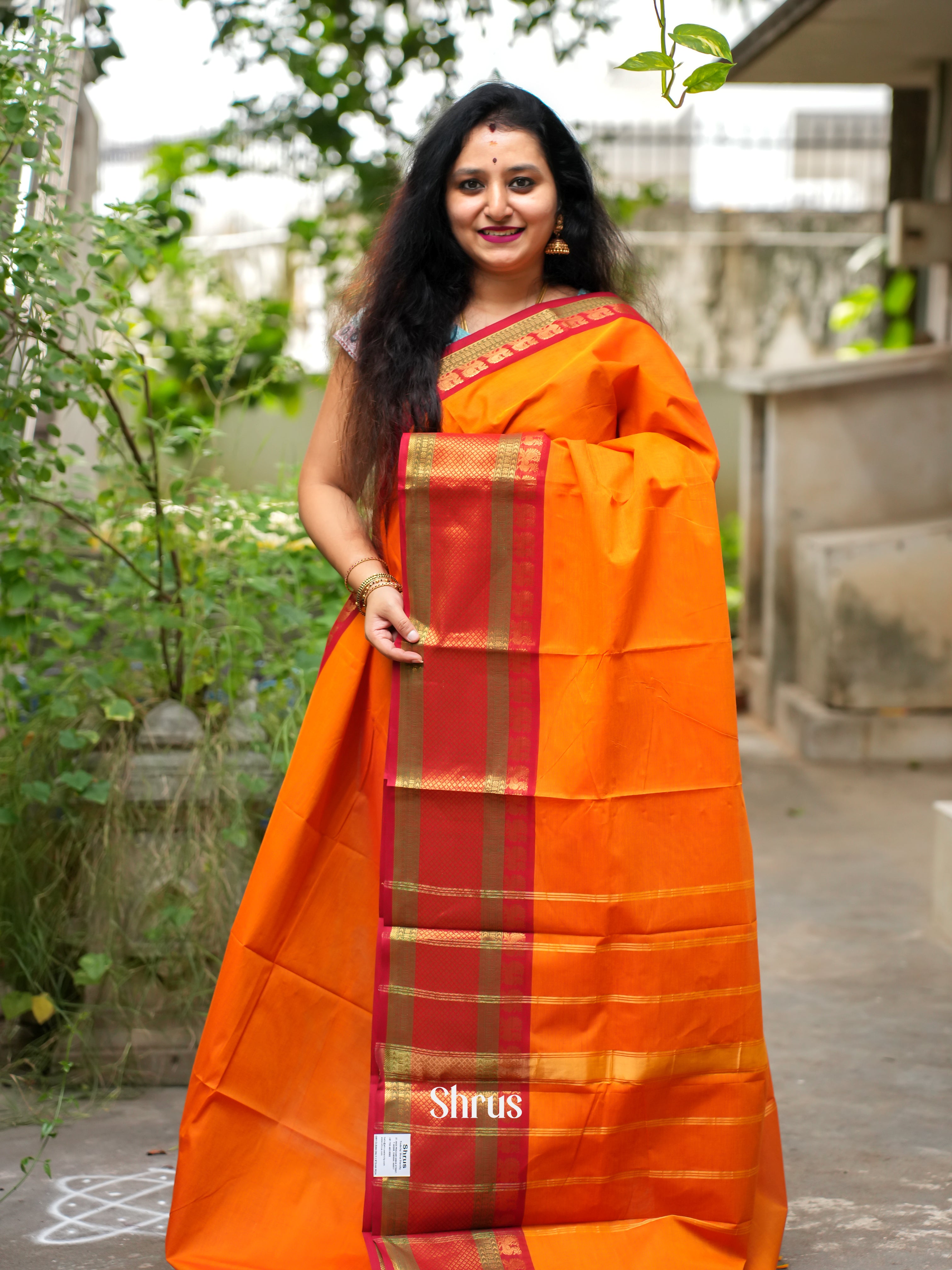 CFS19148  - Chettinad Cotton