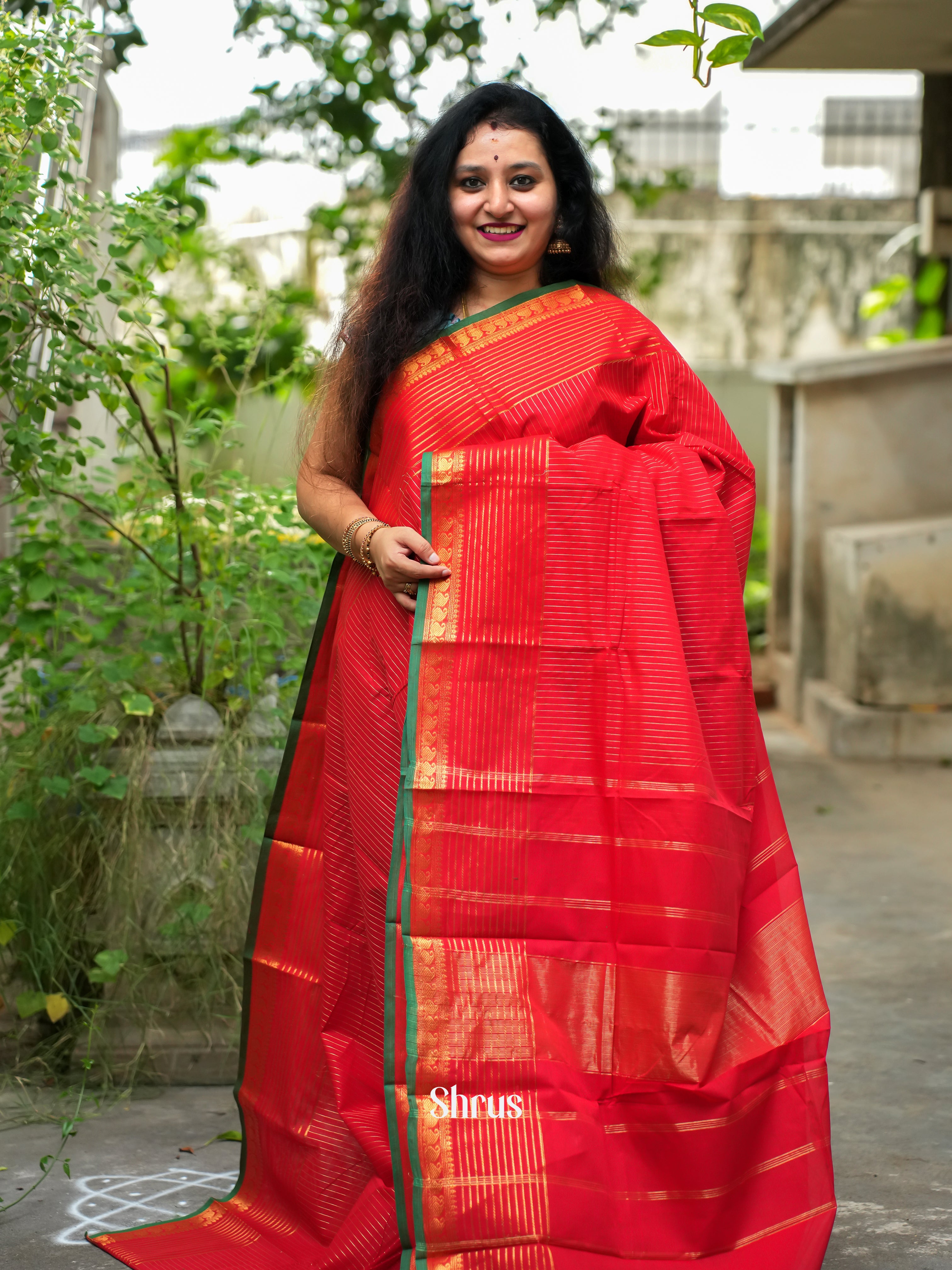 CFS19182 - Chettinad Cotton