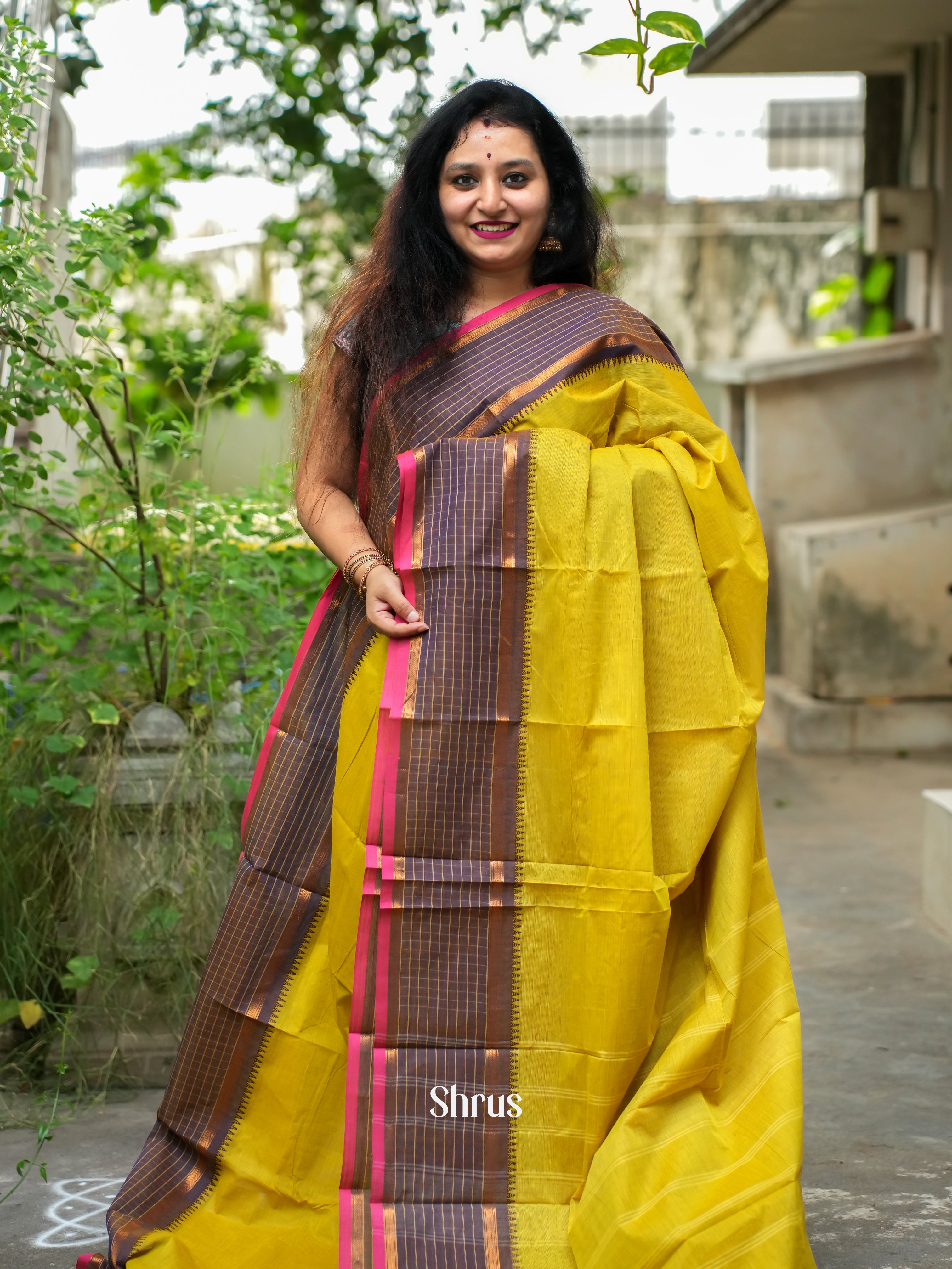 CFS19210 - Chettinad Cotton