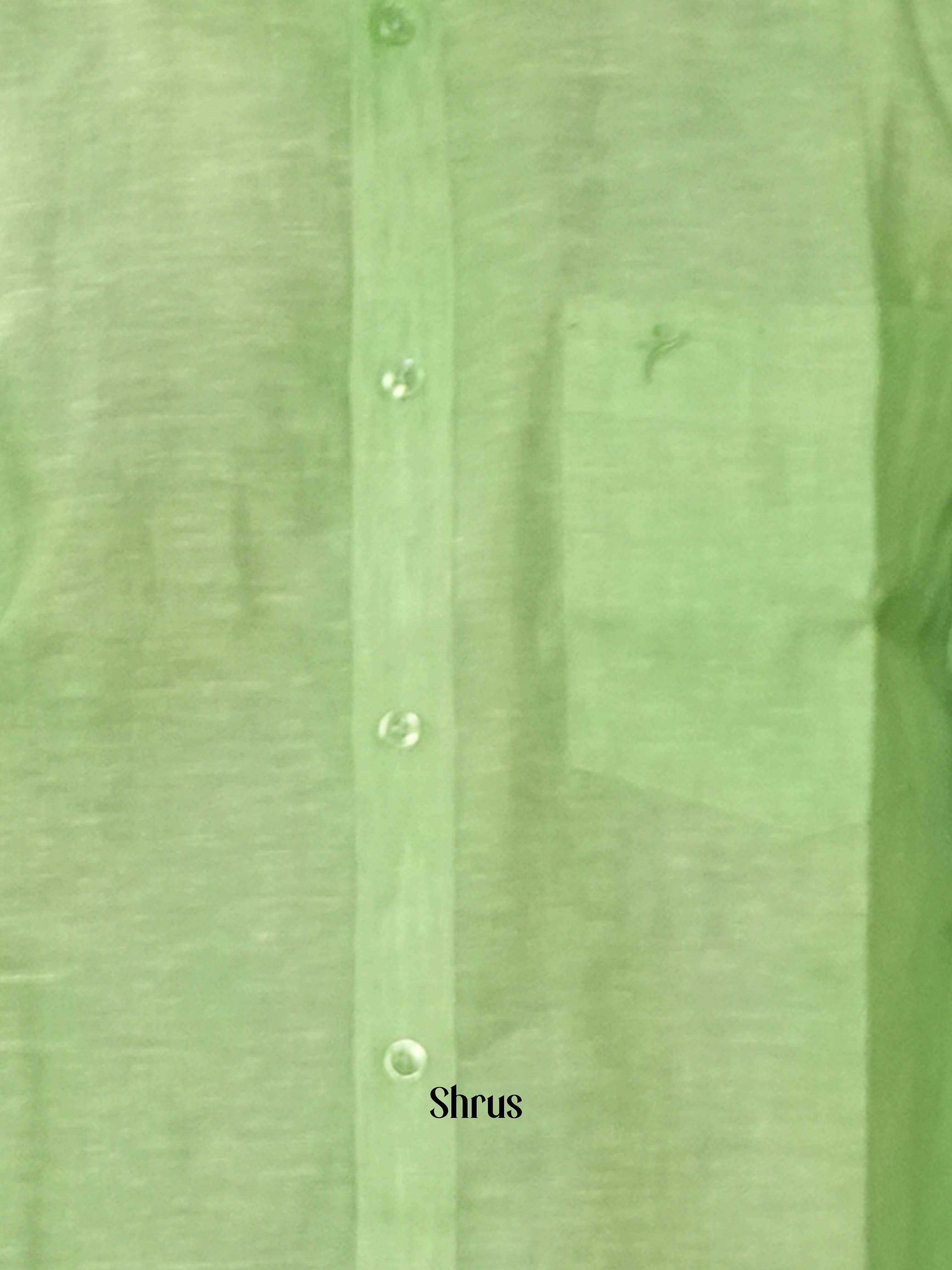 Pista Green -Pure Linen  Readymade Shirts