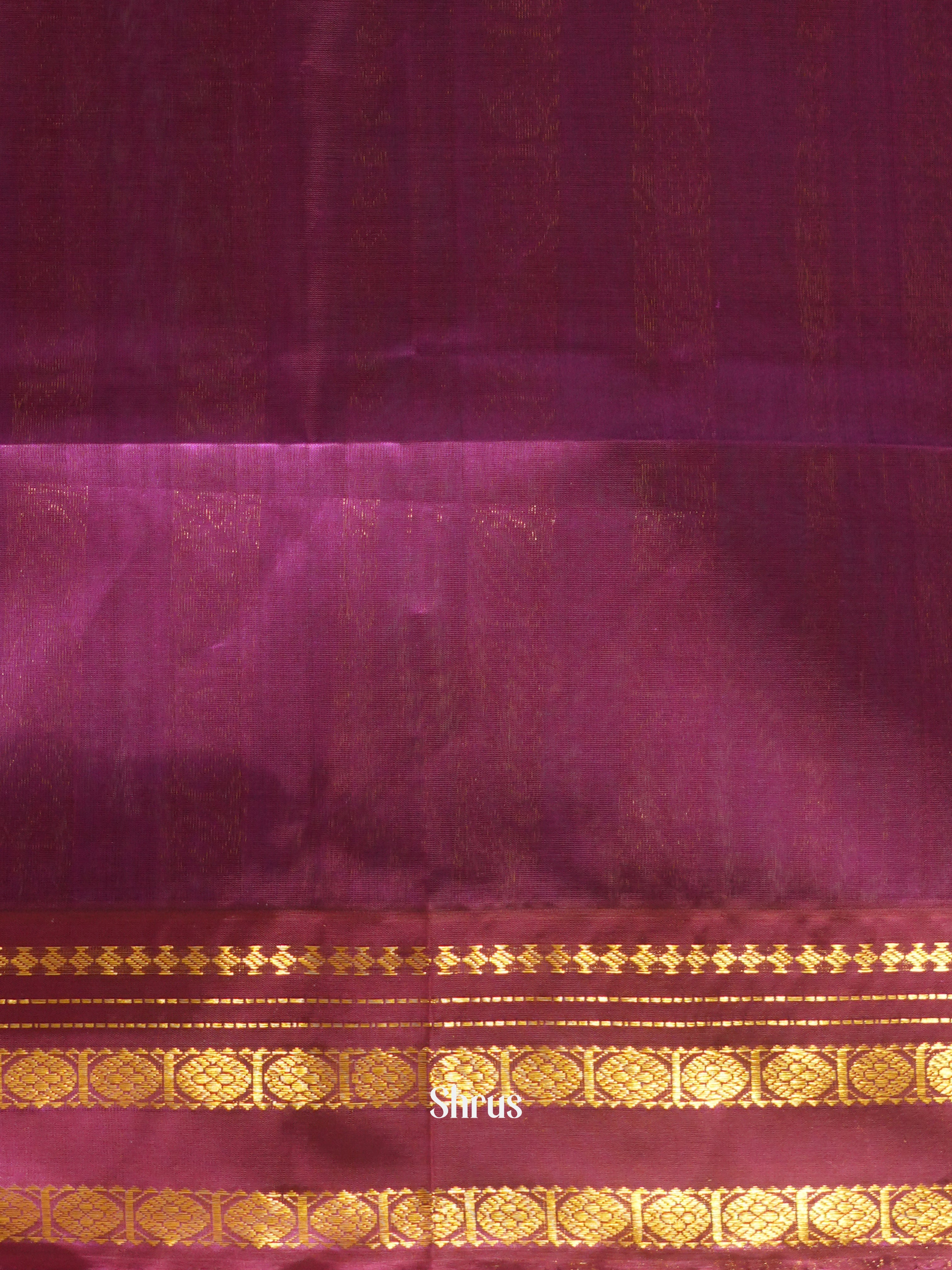 CFS20106 - Silk Cotton Saree