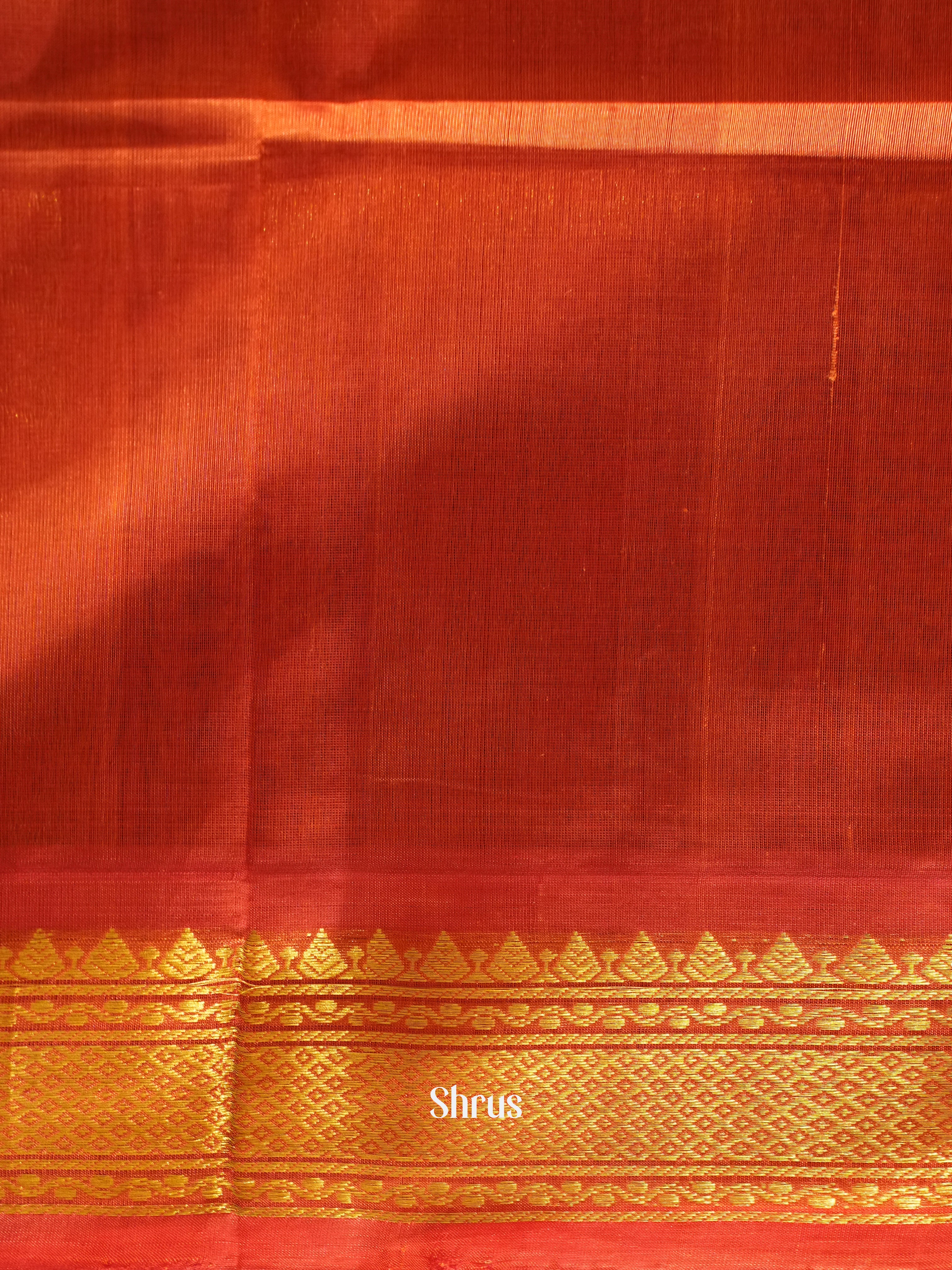 Blue & red - Silk Cotton Saree