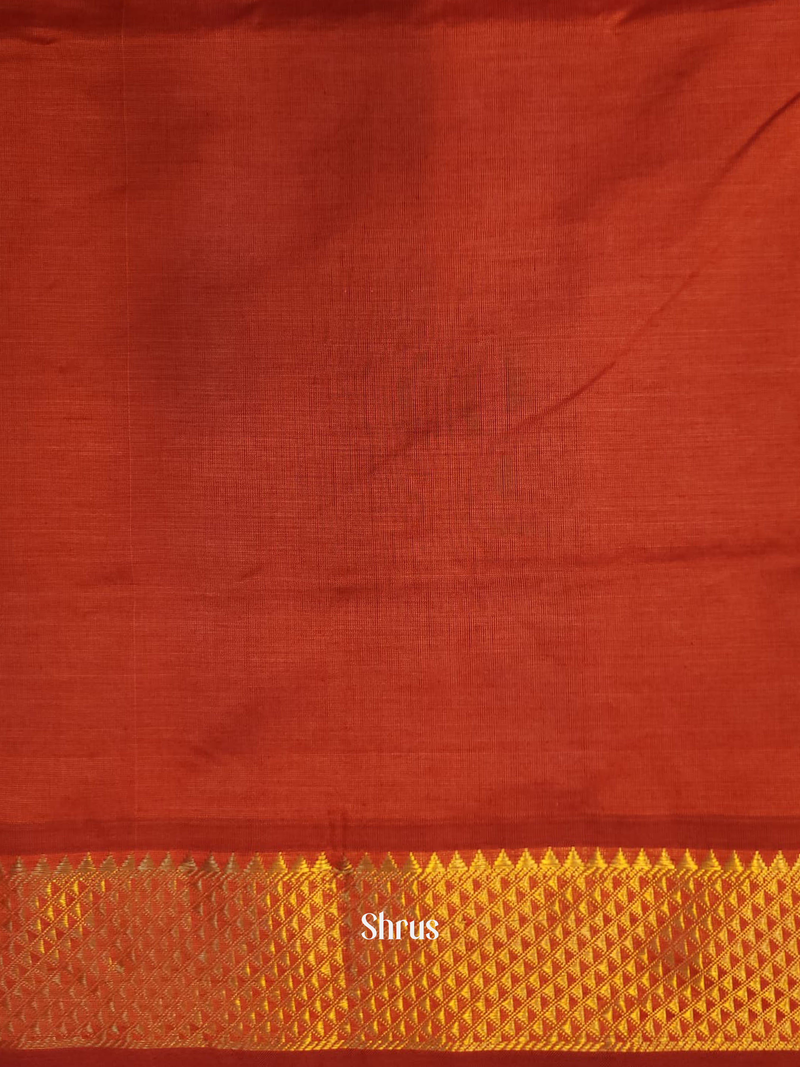 Blue & Brick - Silk cotton-halfpure Saree