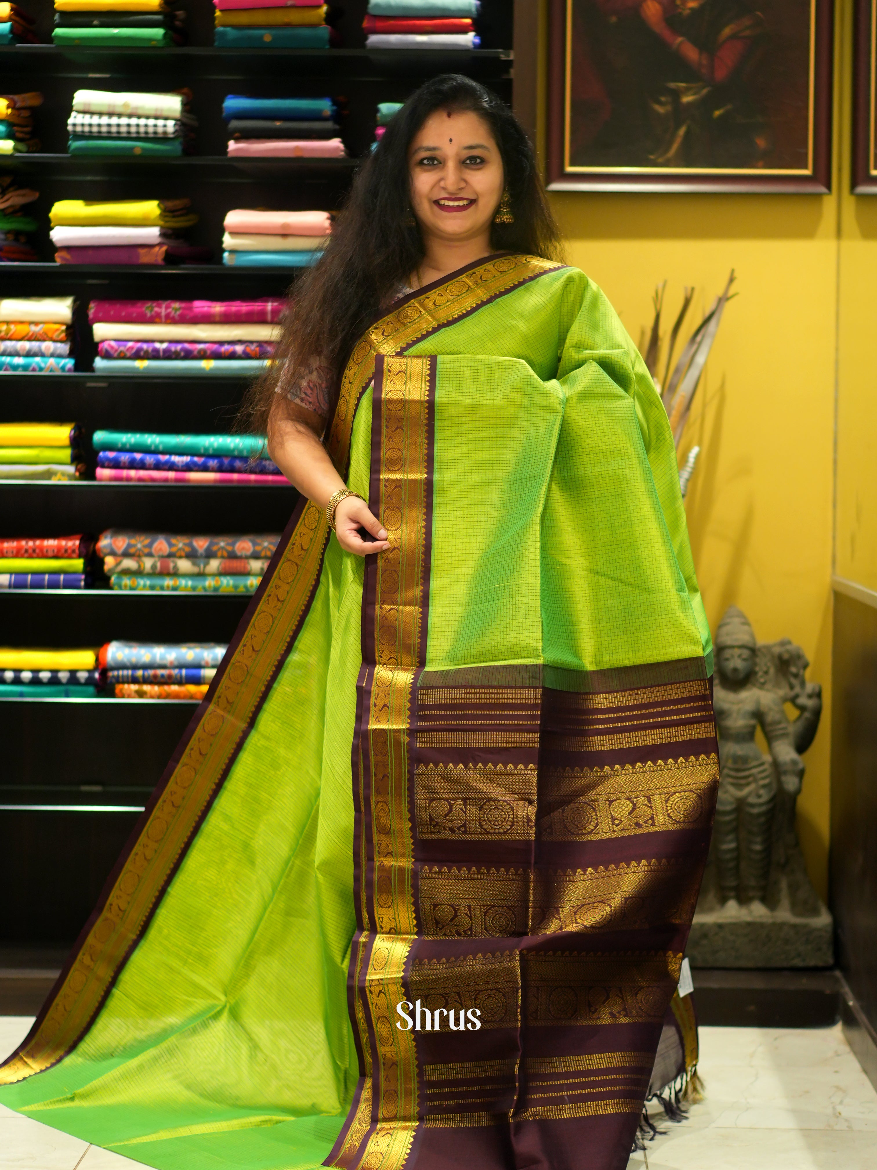 Green & Brown - Silk Cotton Saree