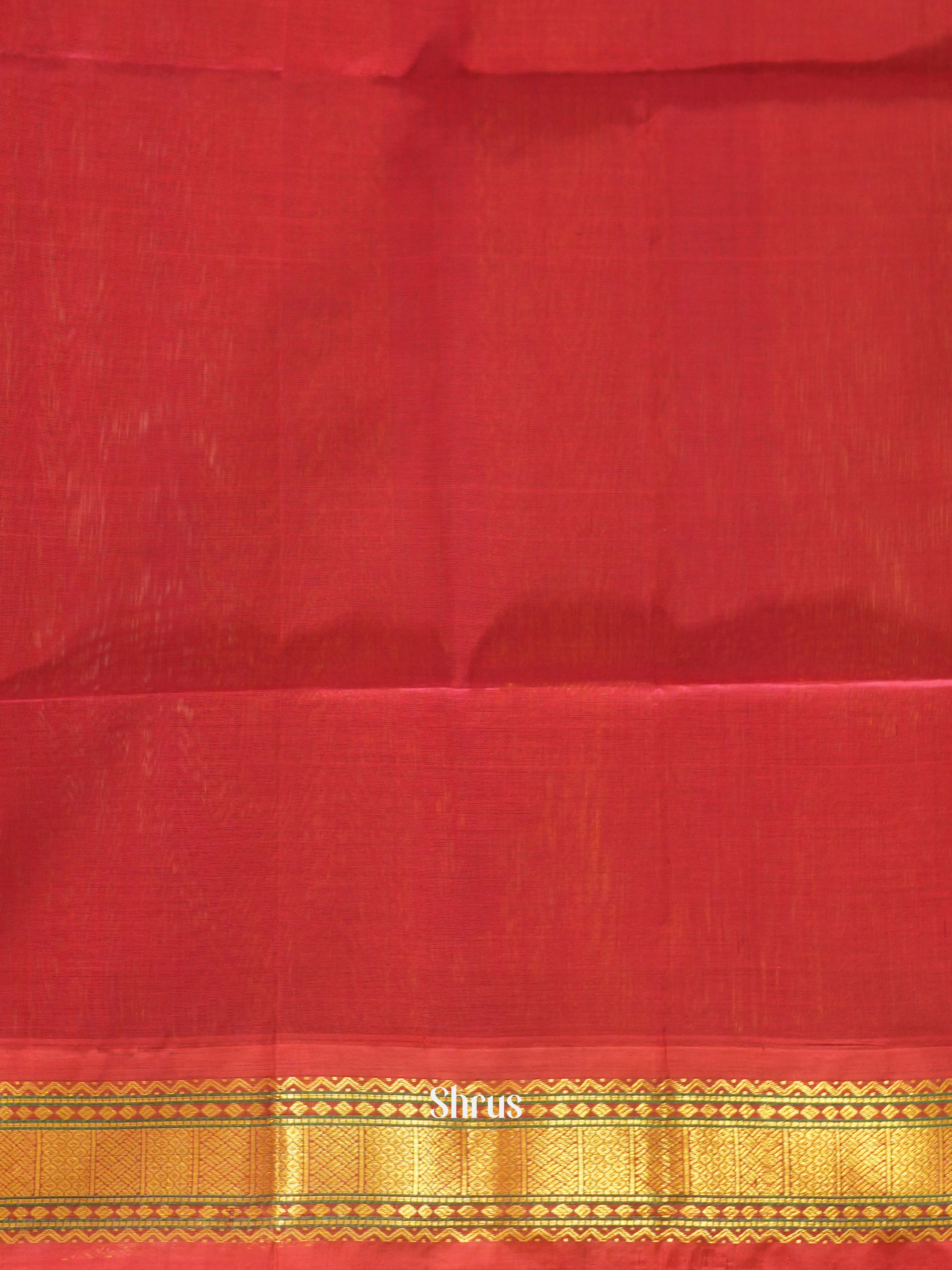 Grey  & Maroon - Silk Cotton Saree