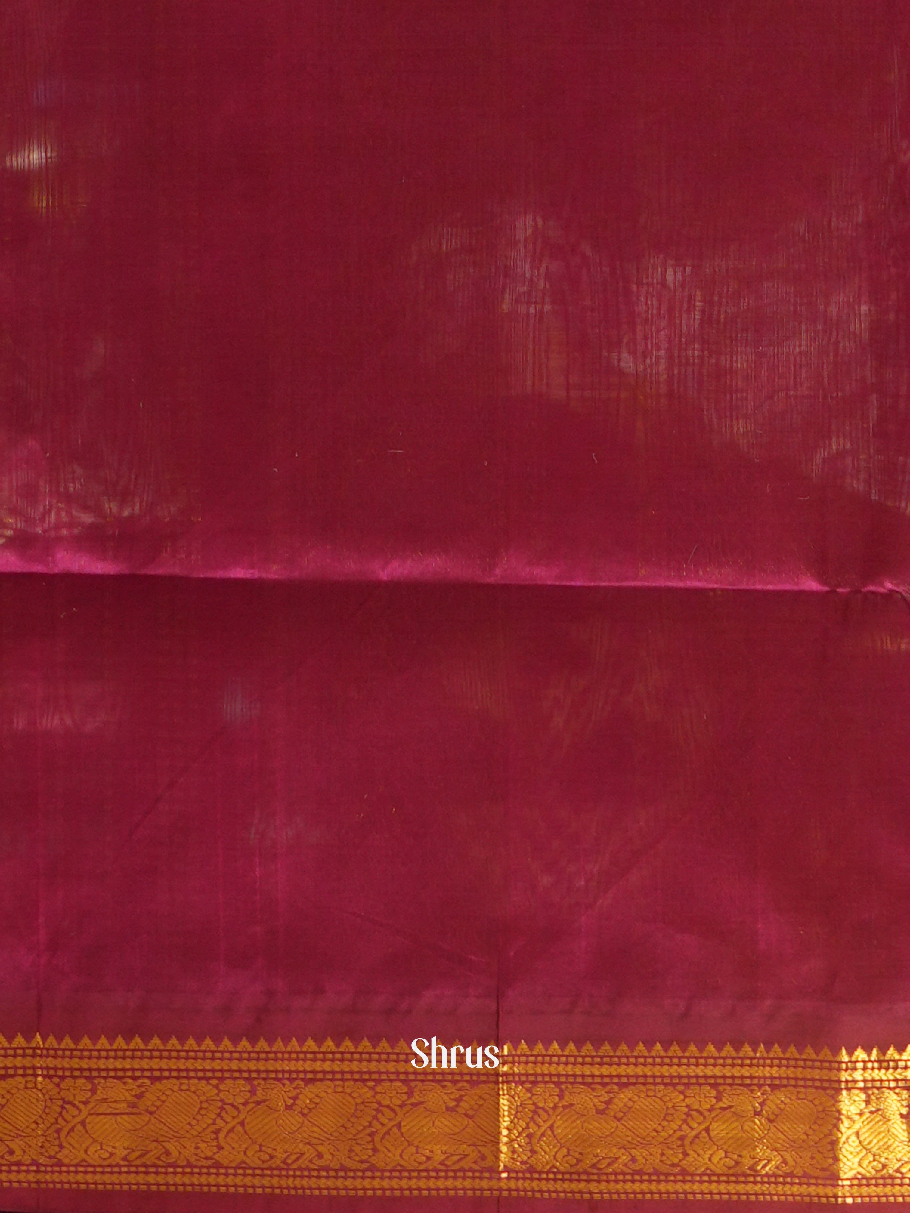 Pista Green & Wine- Silk Cotton Saree