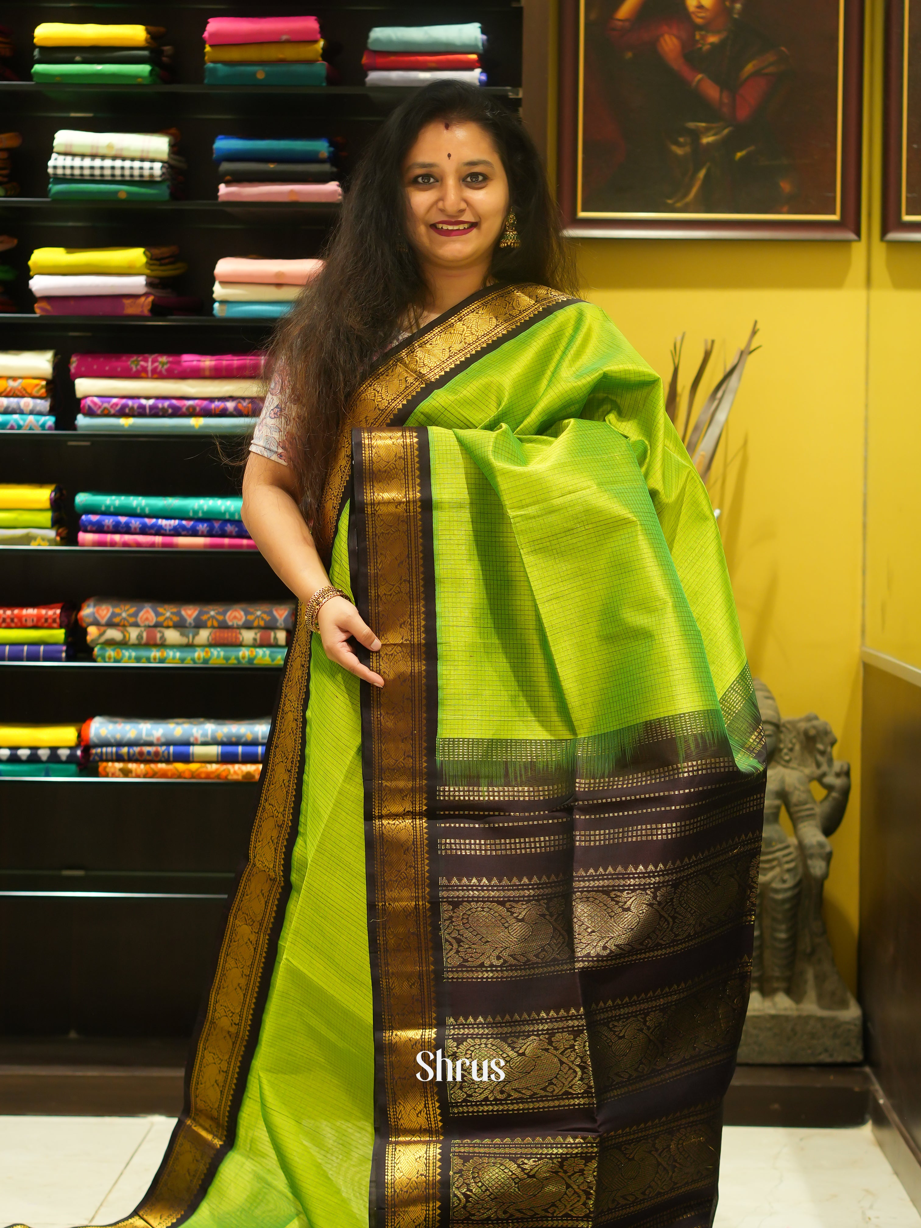 Light Green & Brown - Silk Cotton Saree