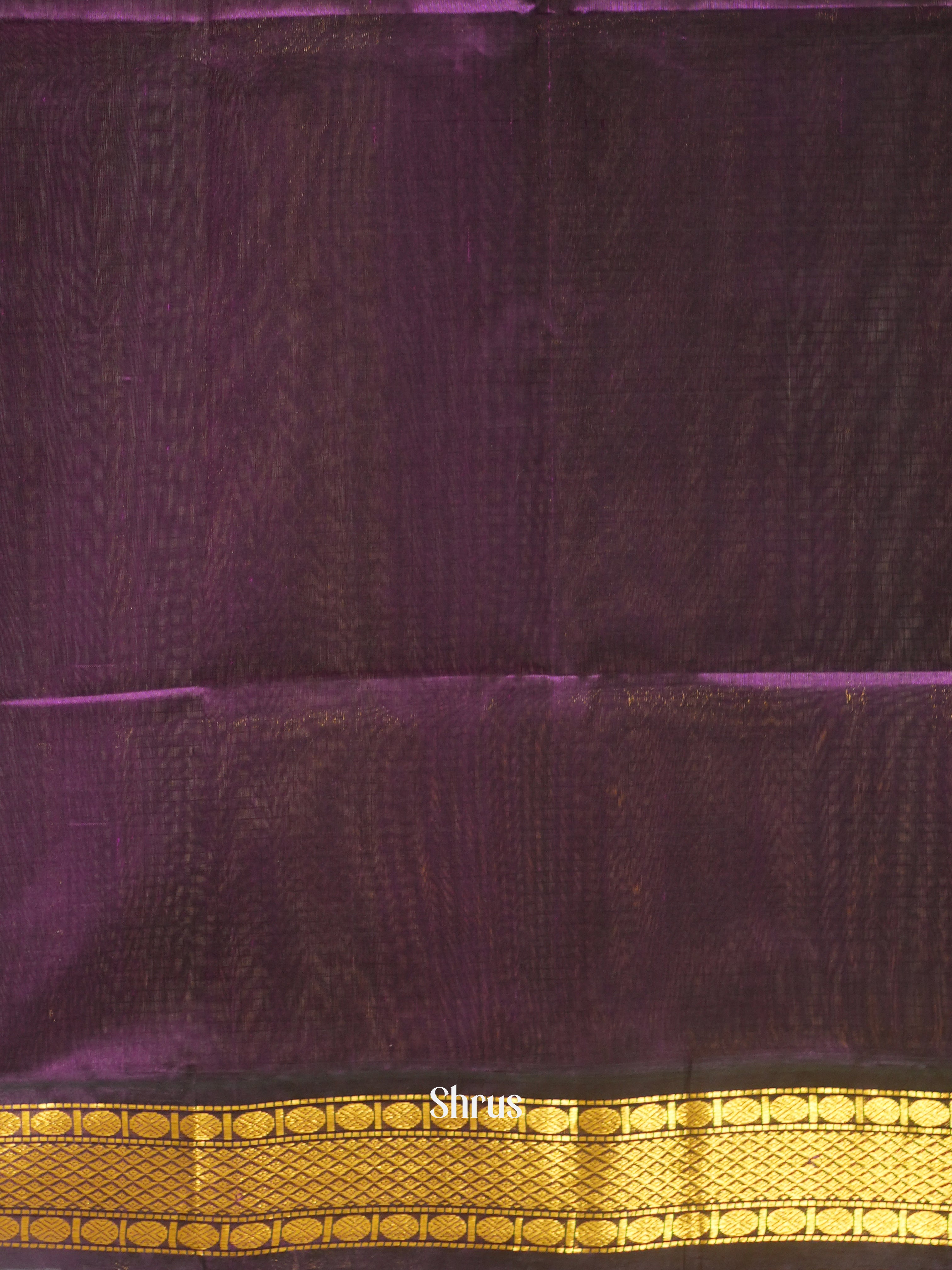 Cream & Purple - Silk Cotton Saree