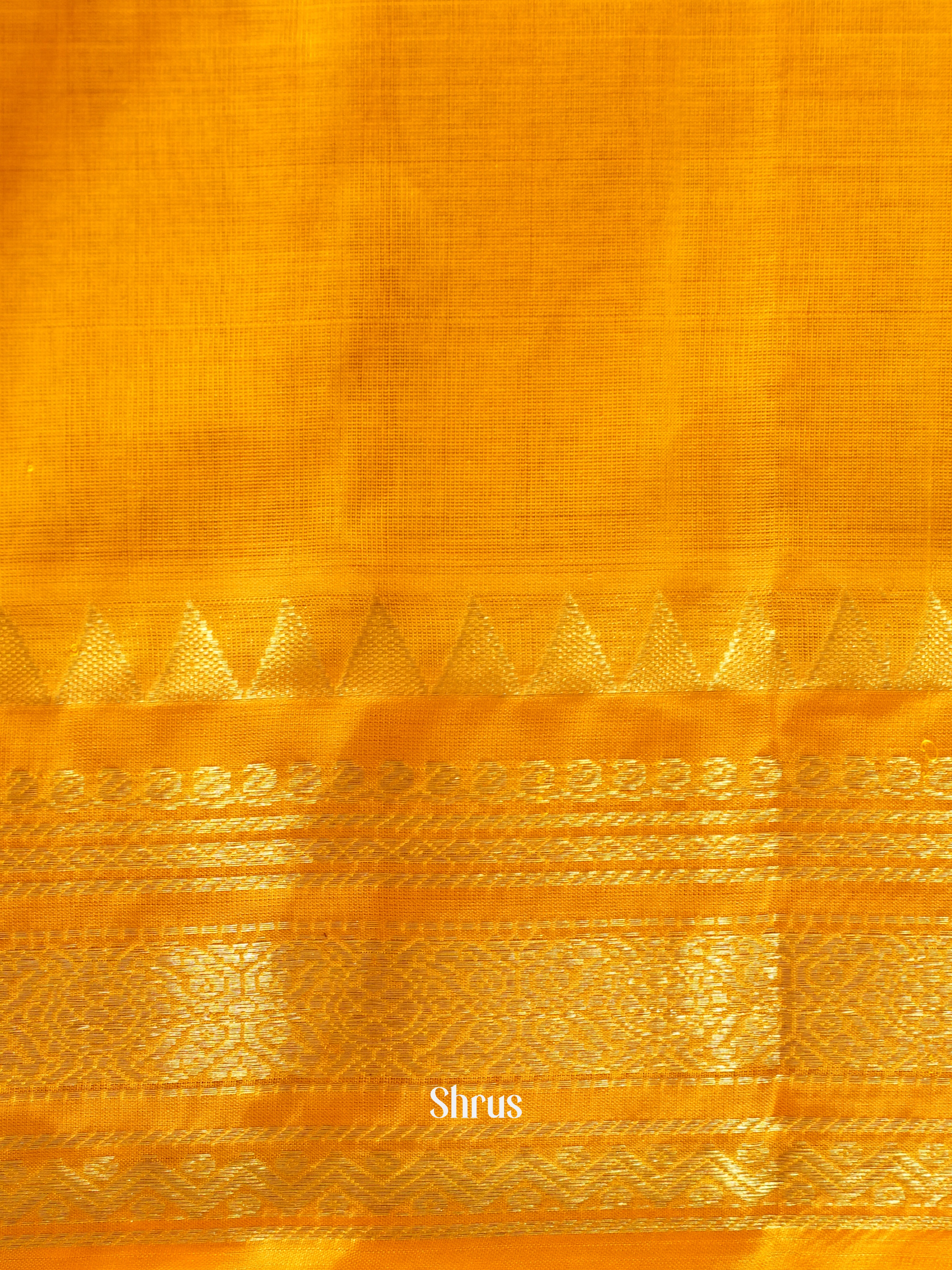 Violet & Yellow- Silk Cotton Saree