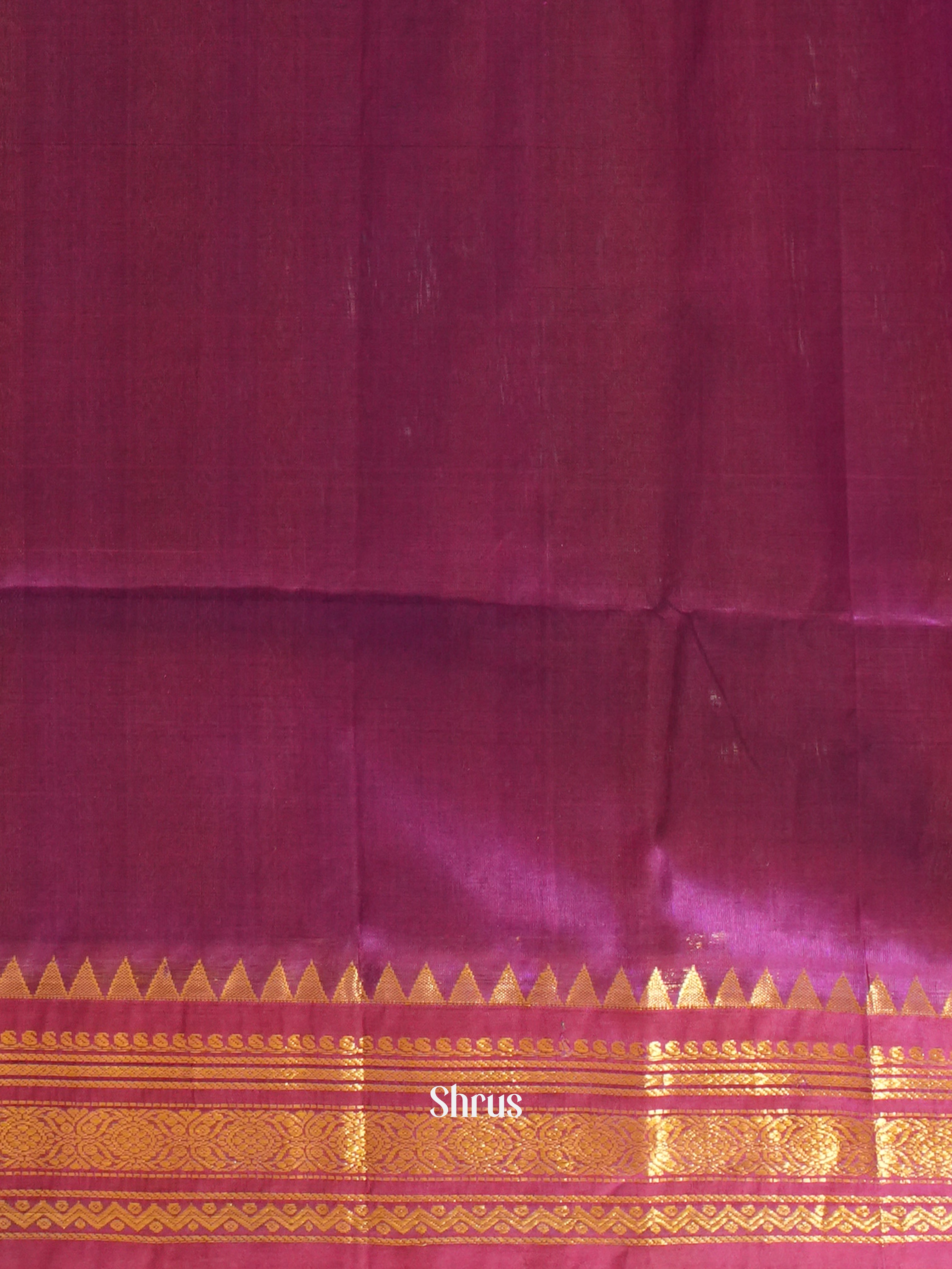 CFS20343 - Silk Cotton Saree