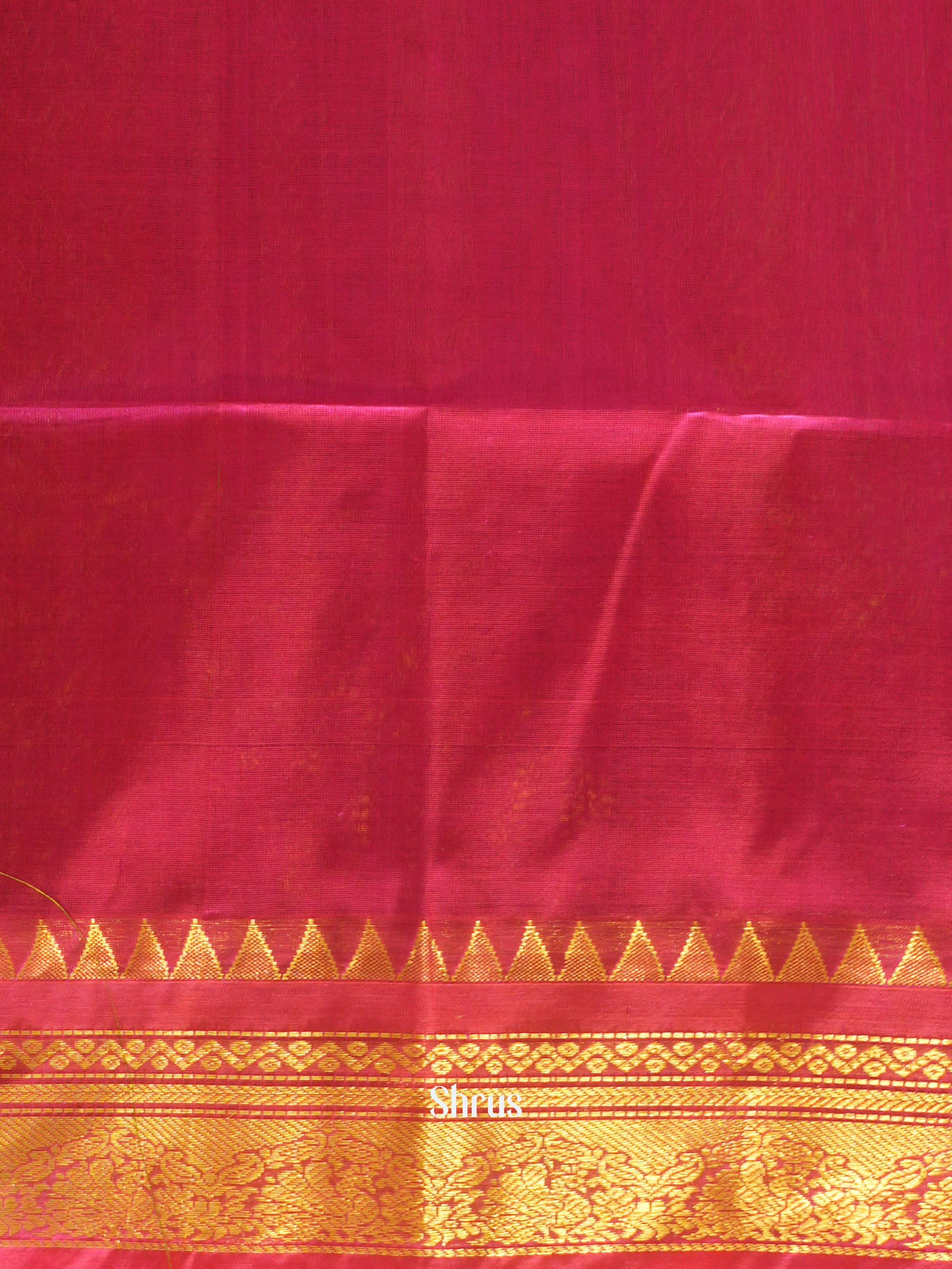 Green & Pink - Silk Cotton Saree