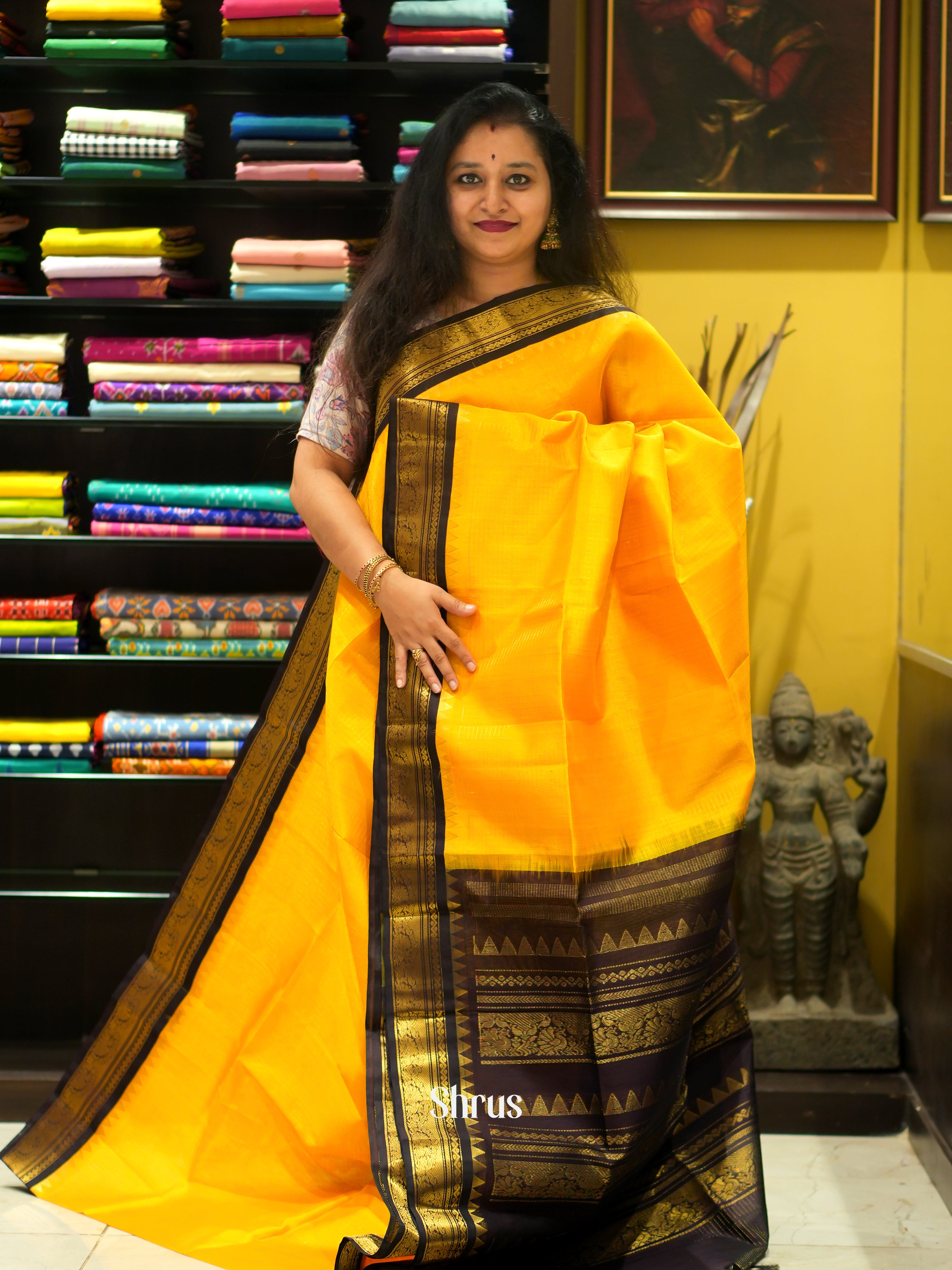 Yellow & Brown - Silk Cotton Saree