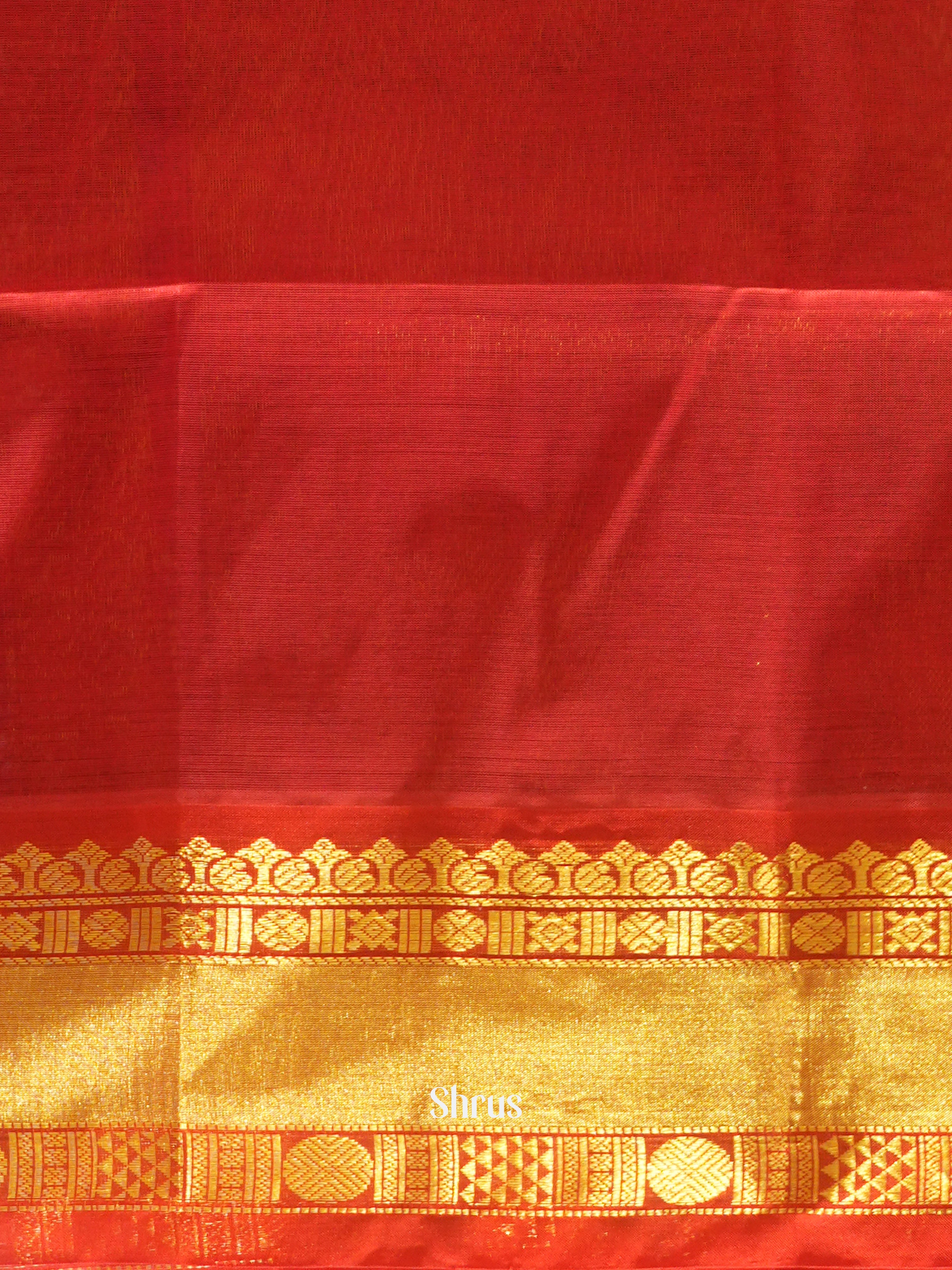 Blue & Red - Silk Cotton Saree