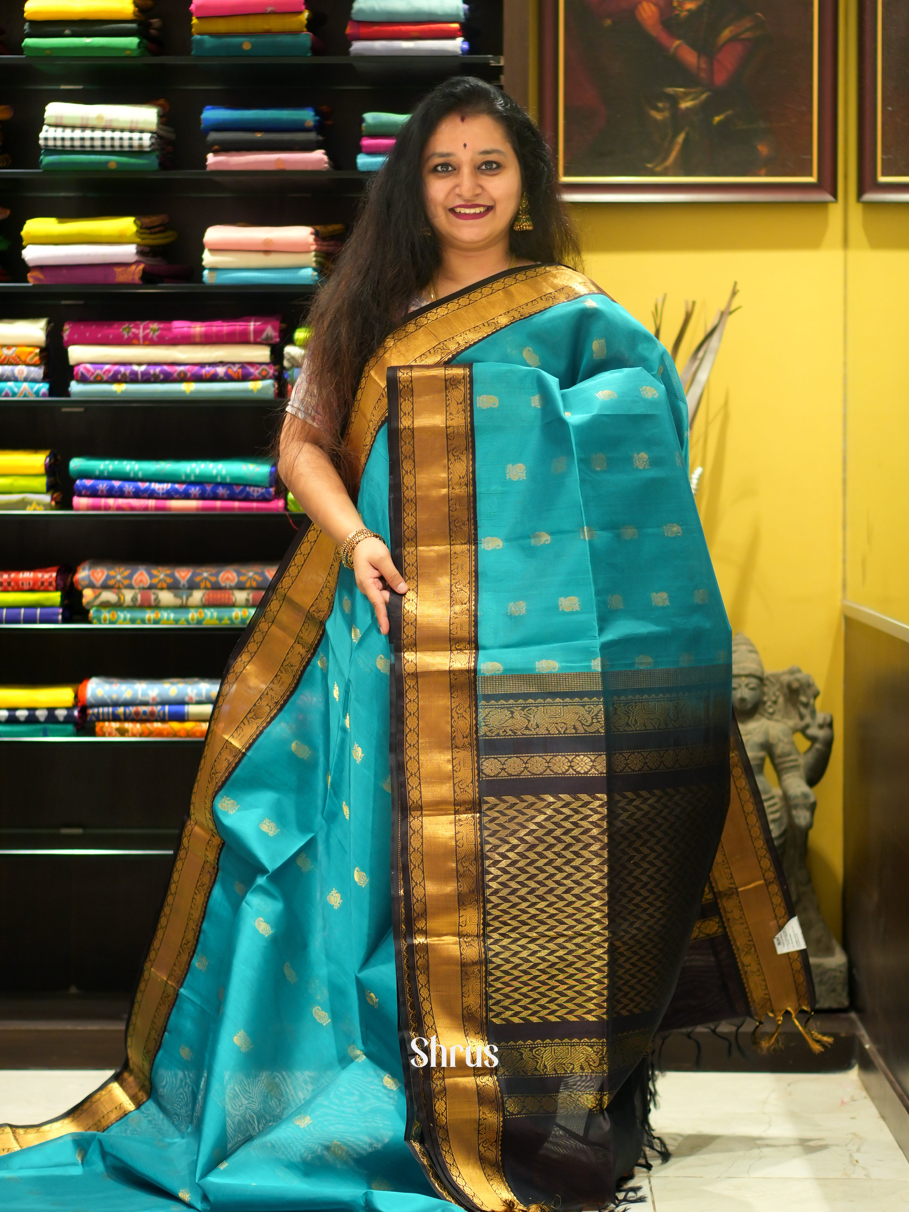 Blue & Black - Silk Cotton Saree