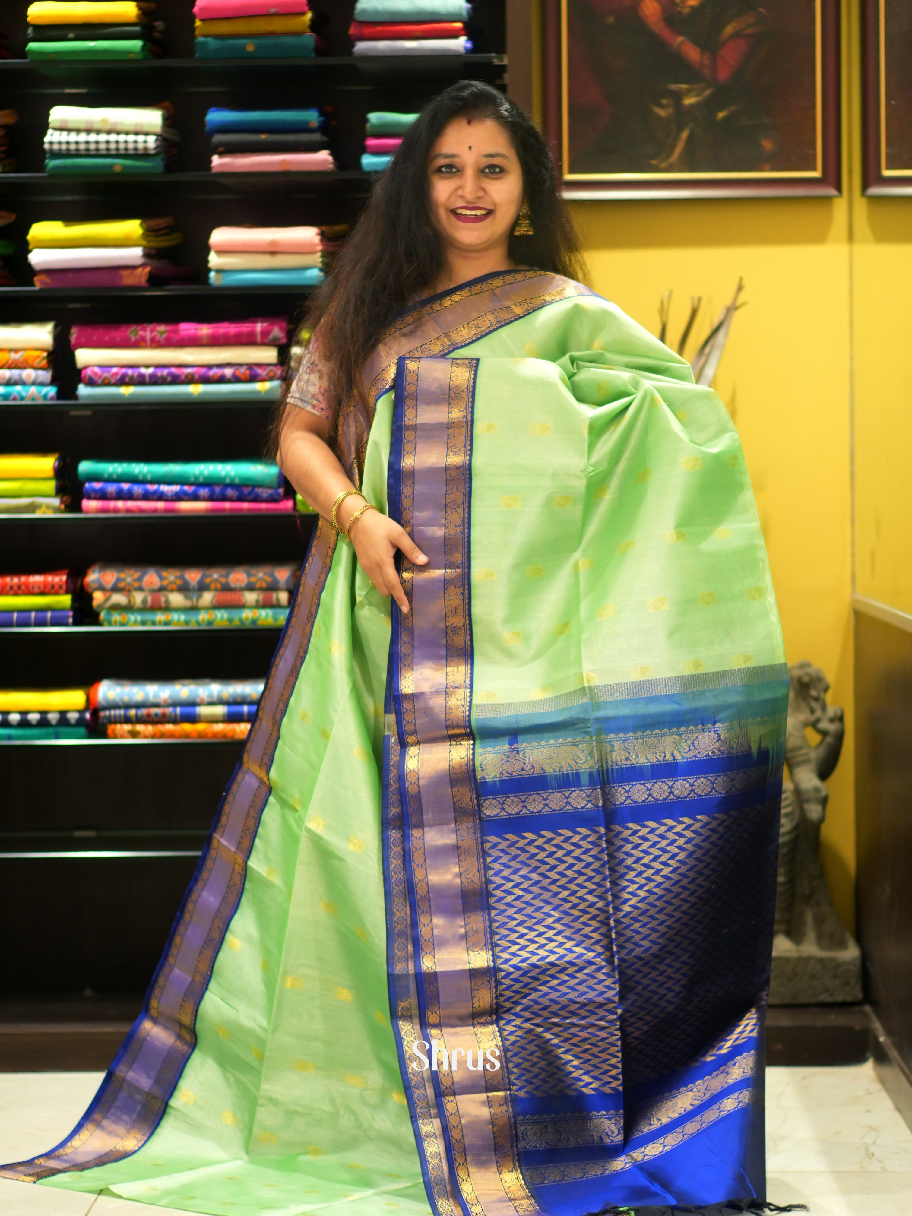 Pista Green & Blue - Silk Cotton Saree