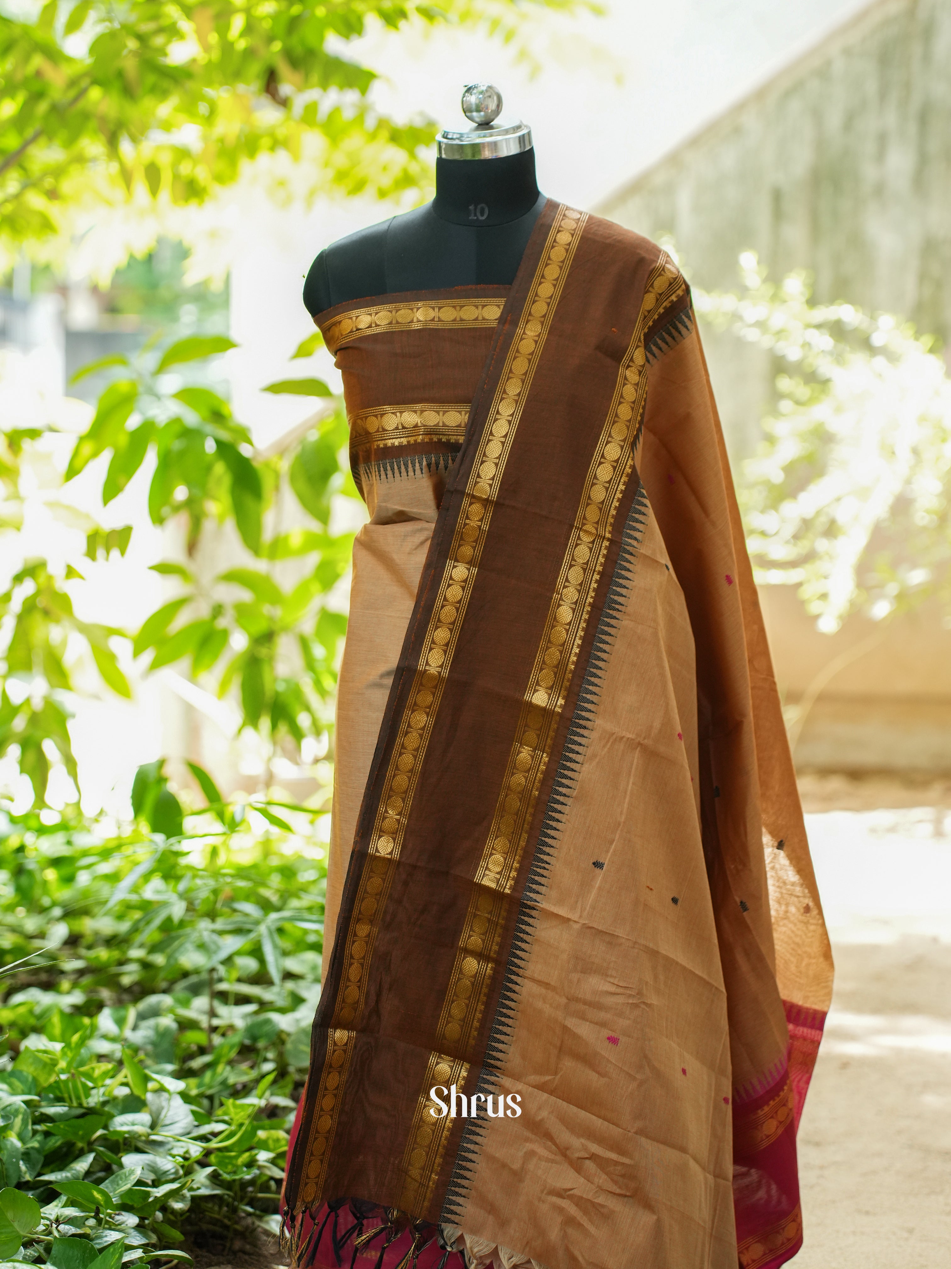 Light Brown & Brown - Chettinad Top & Dupatta