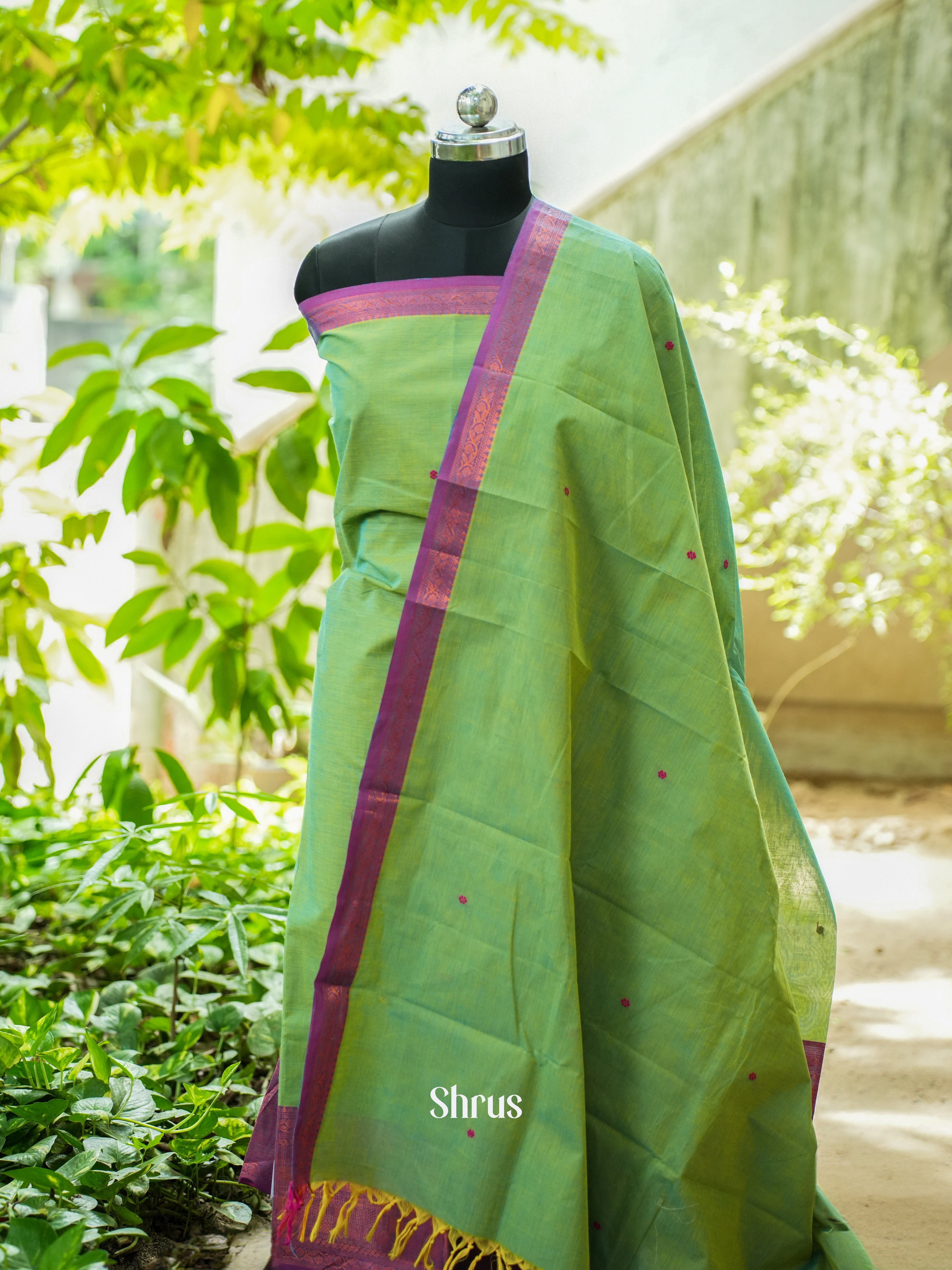 Green & Purple - Chettinad Top &  Dupatta