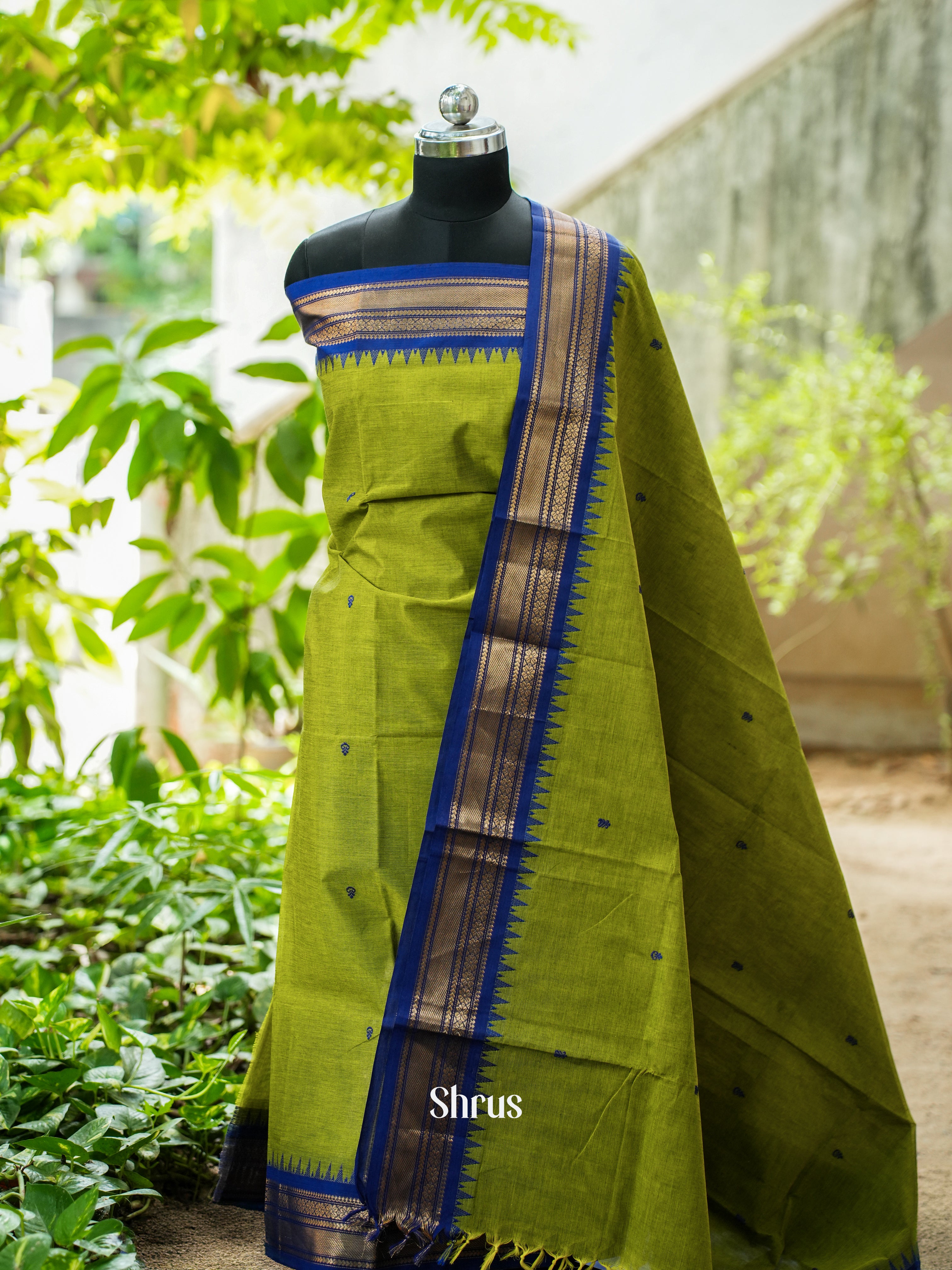 Green & Blue - Chettinad Top & Dupatta