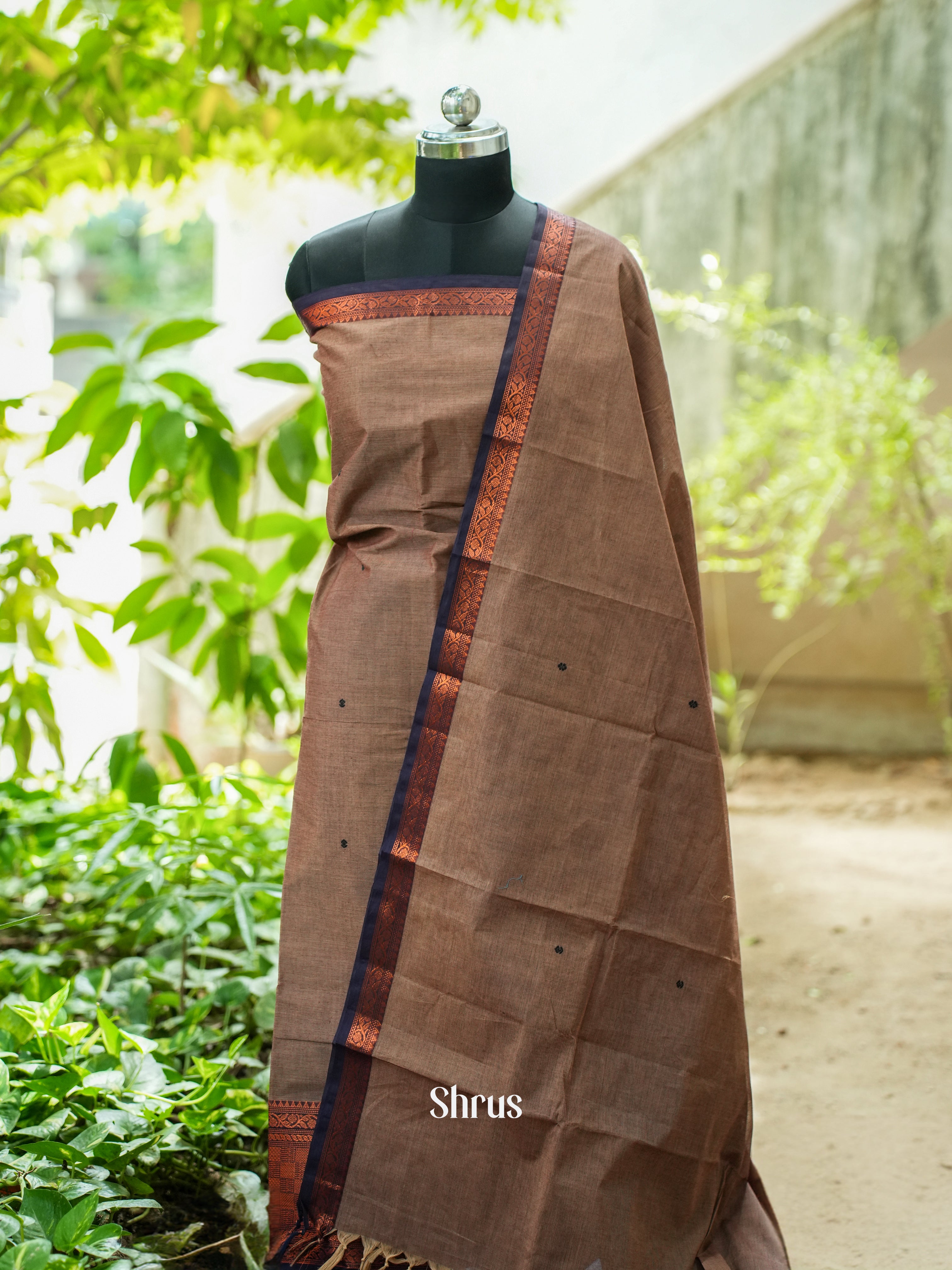 Dusty Brown & Blue - Chettinad Top & Dupatta