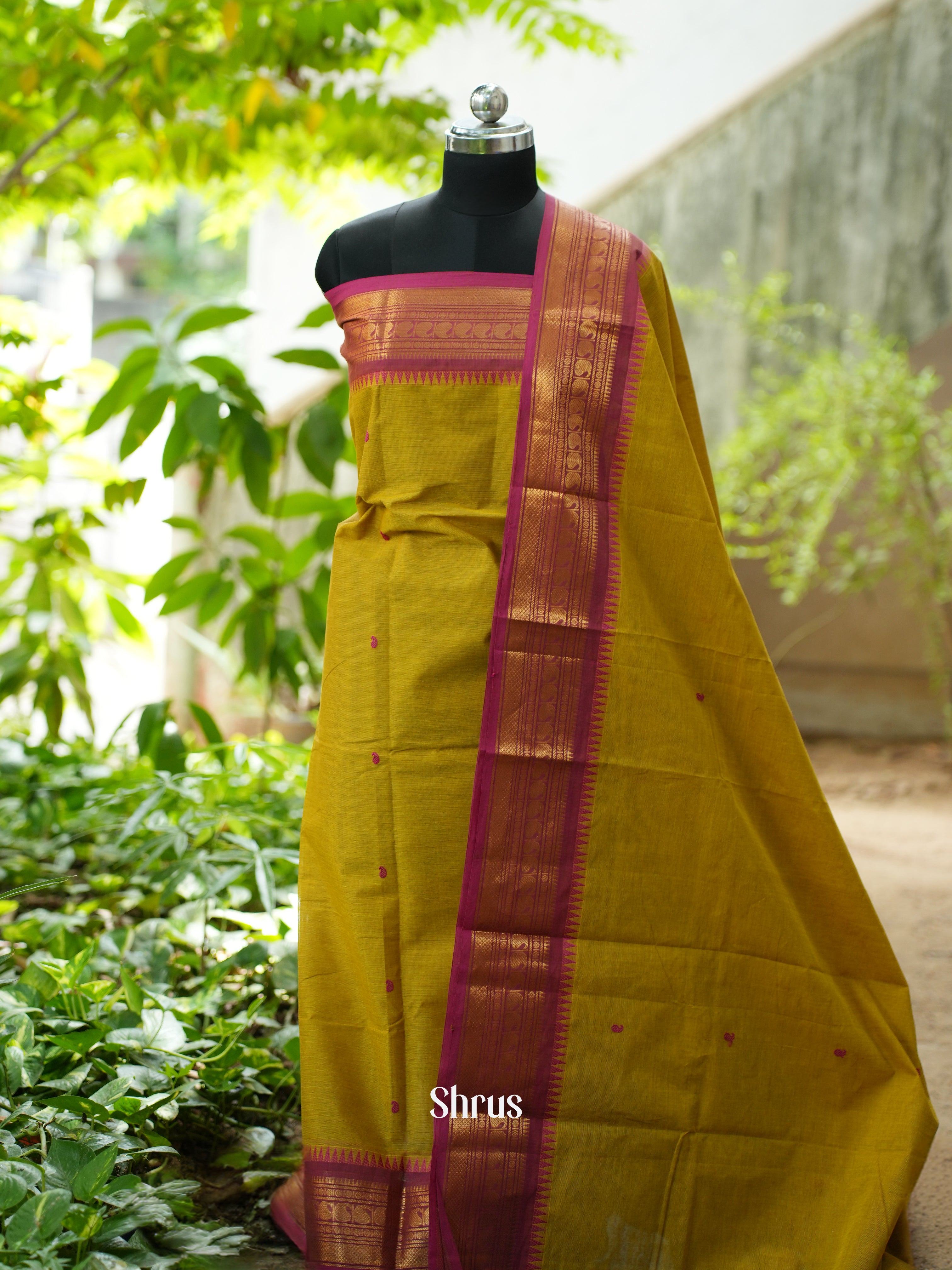 Mathulir Green & Pink - Chettinad Top & Dupatta