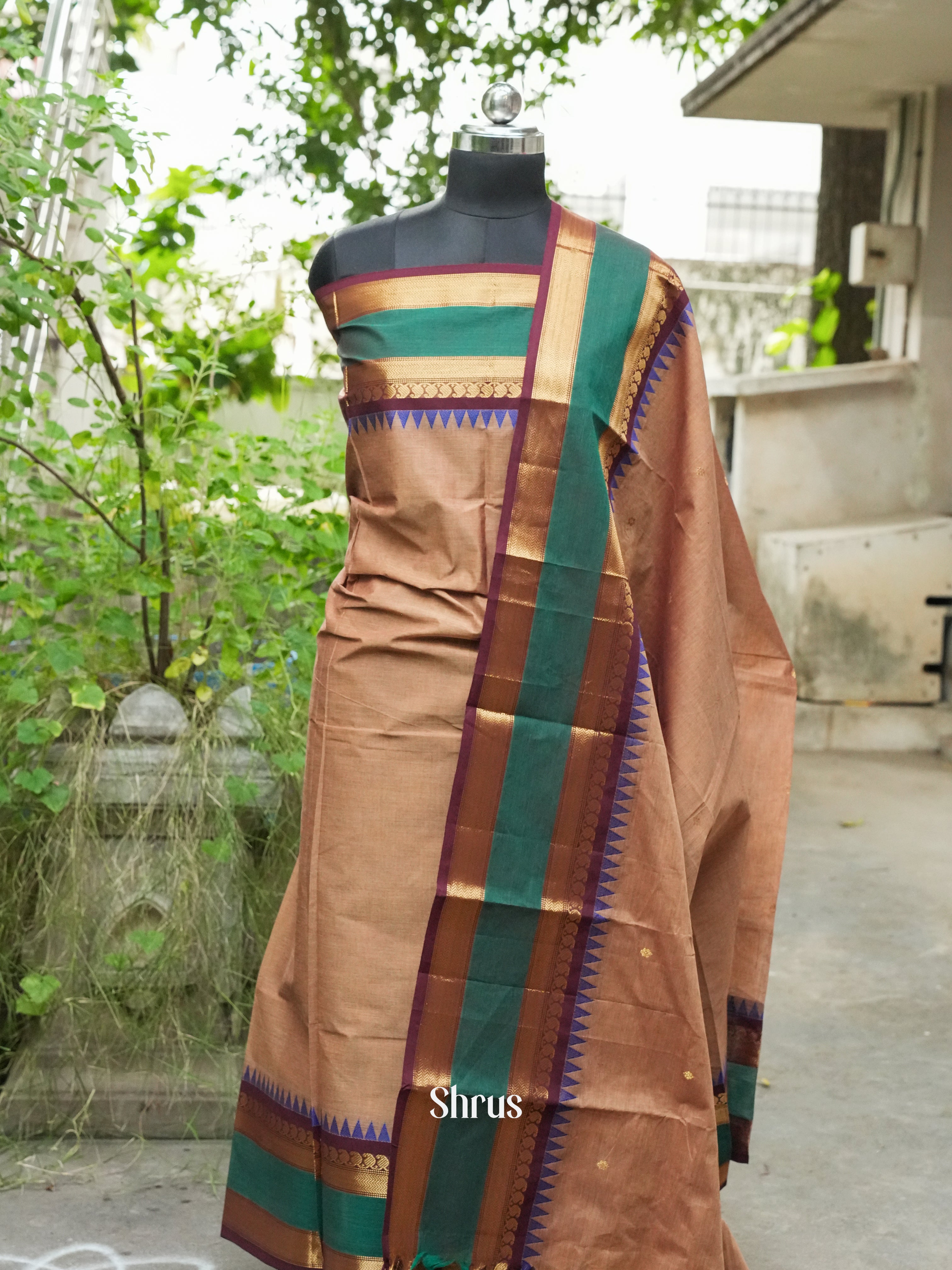 Light Brown & Brown - Chettinad Top & Dupatta