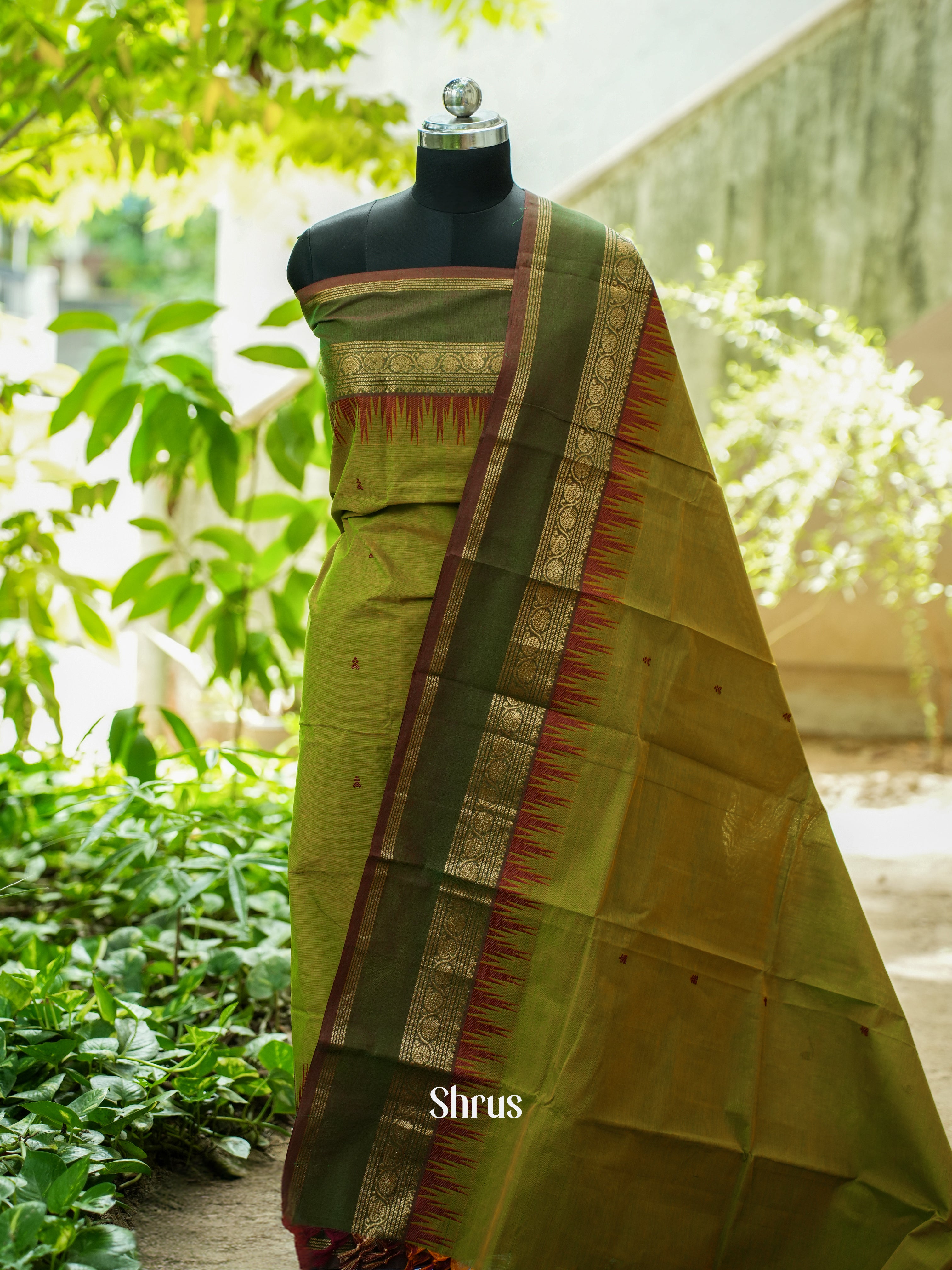 Green & Brown - Chettinad Top & Dupatta