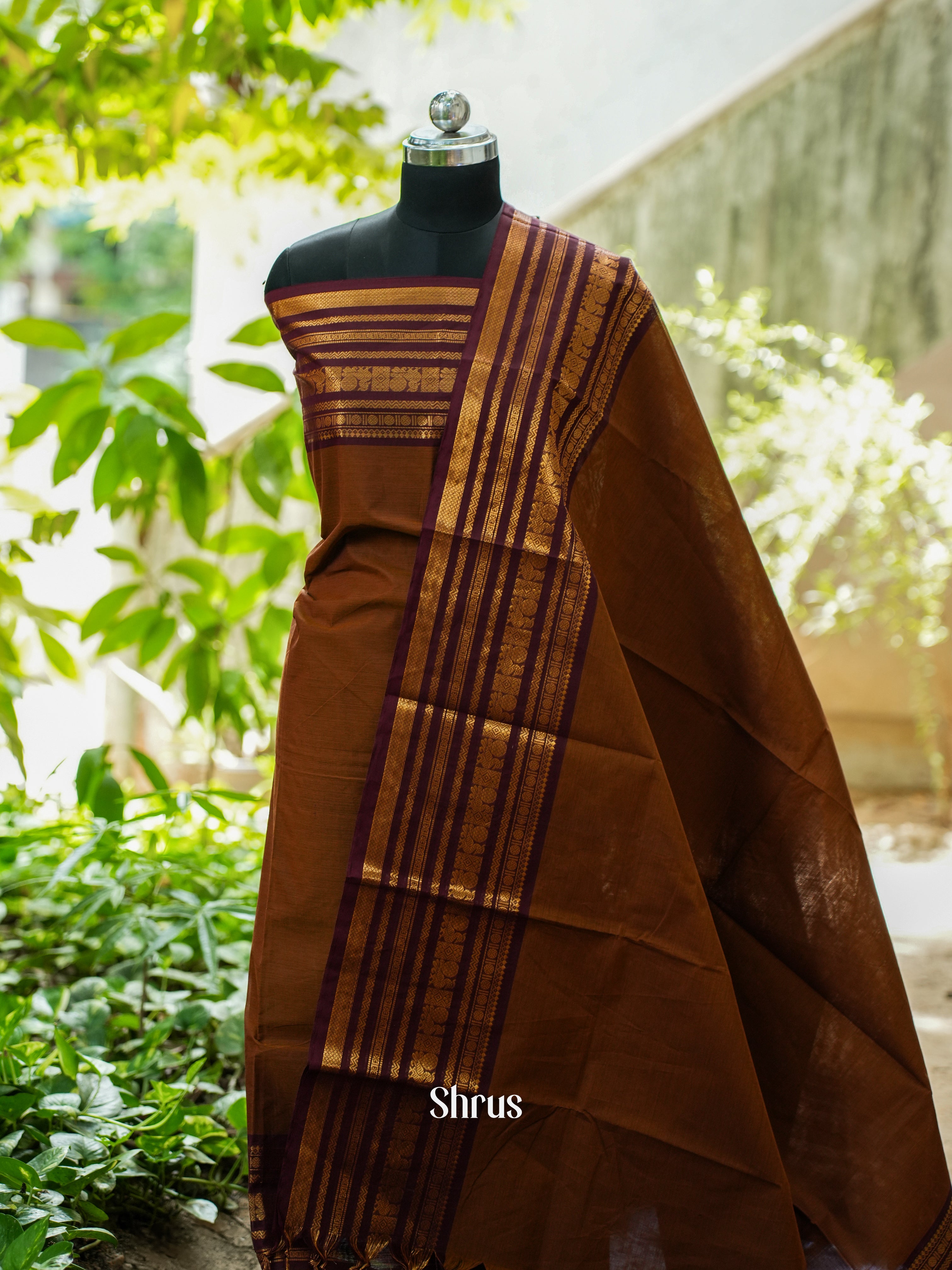 Mehandi & Brown - Chettinad Top & Dupatta