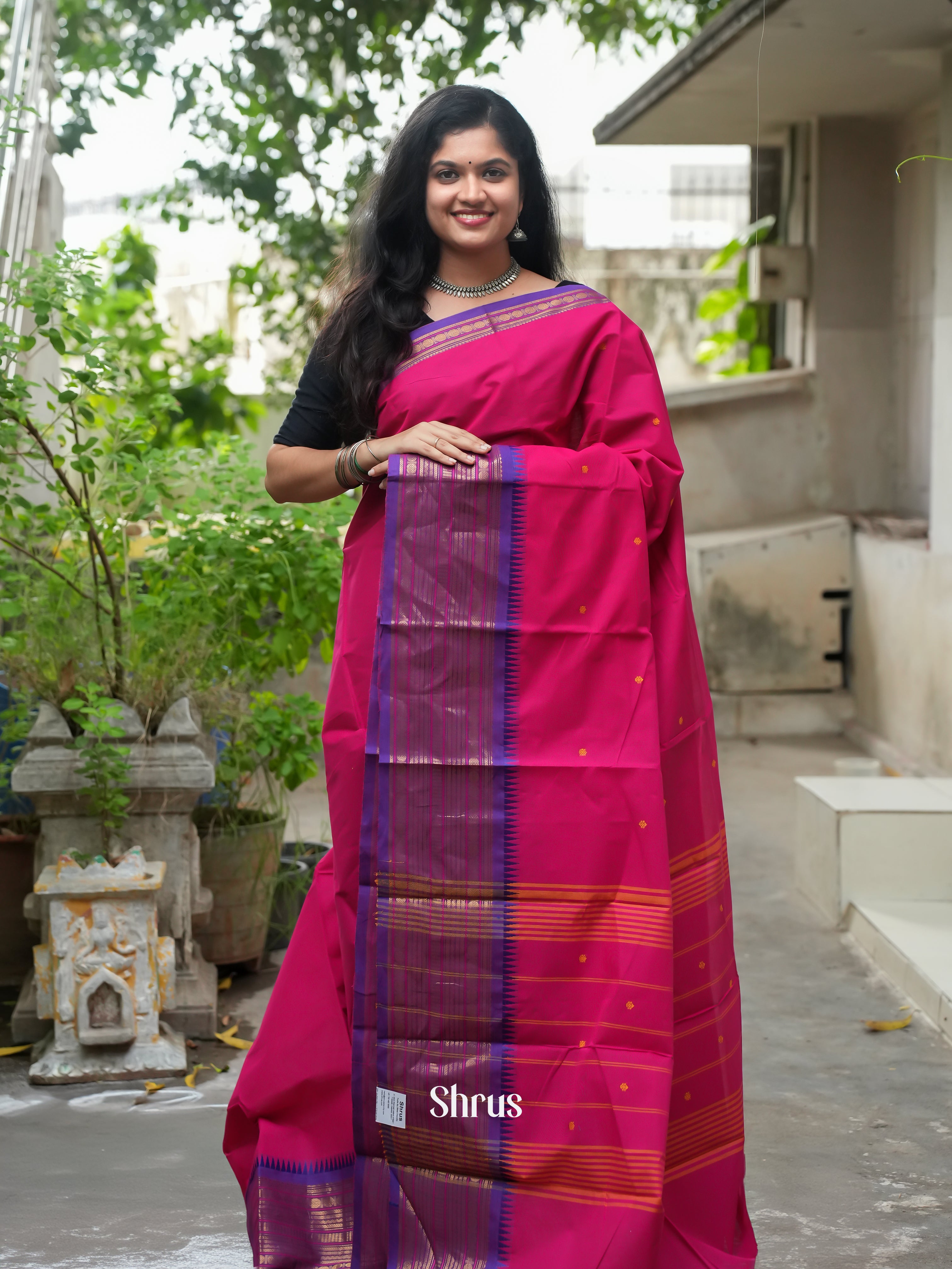 Pink & Violet  -Chettinad Cotton Saree