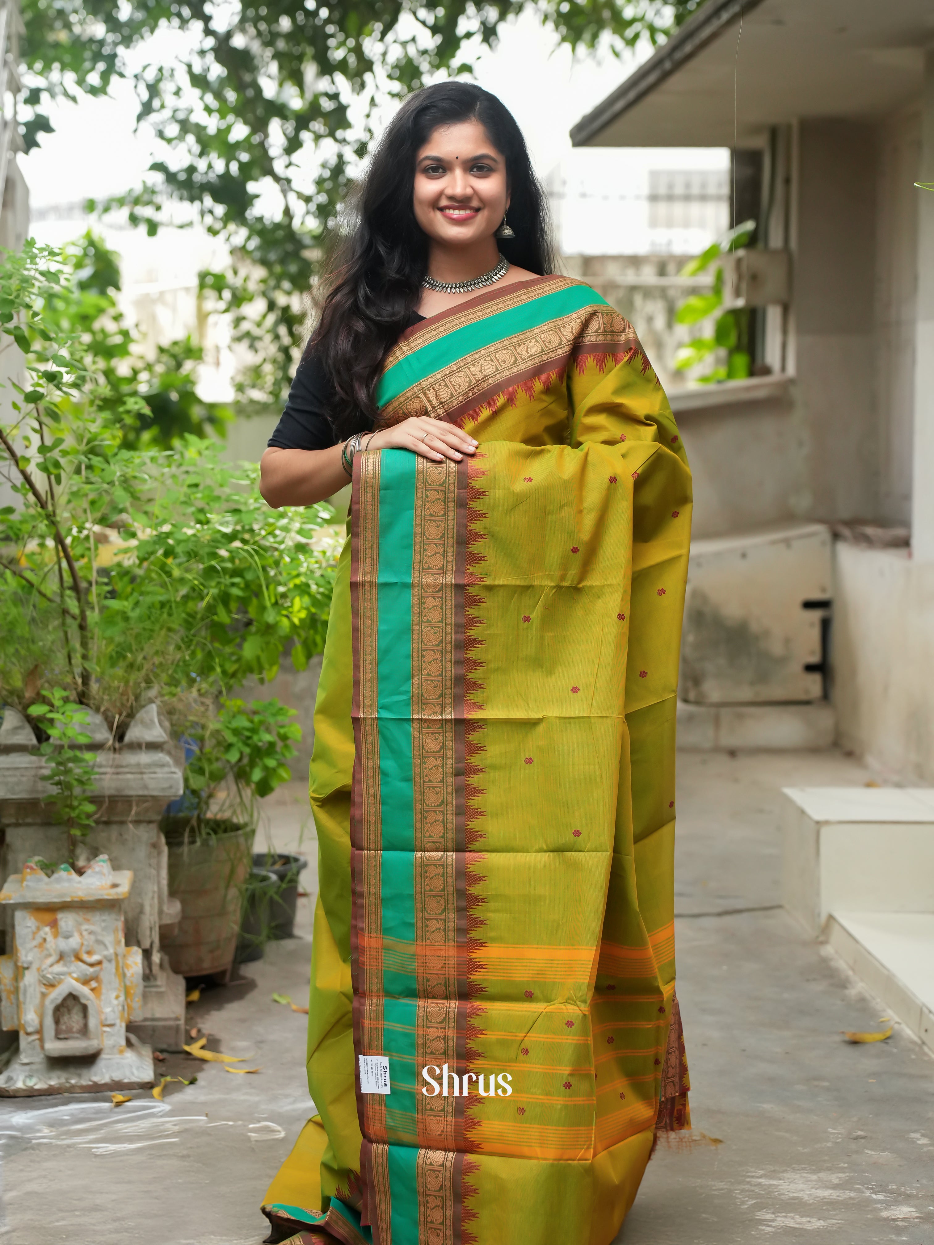 Mustardy Green & Brown - Chettinad Cotton Saree