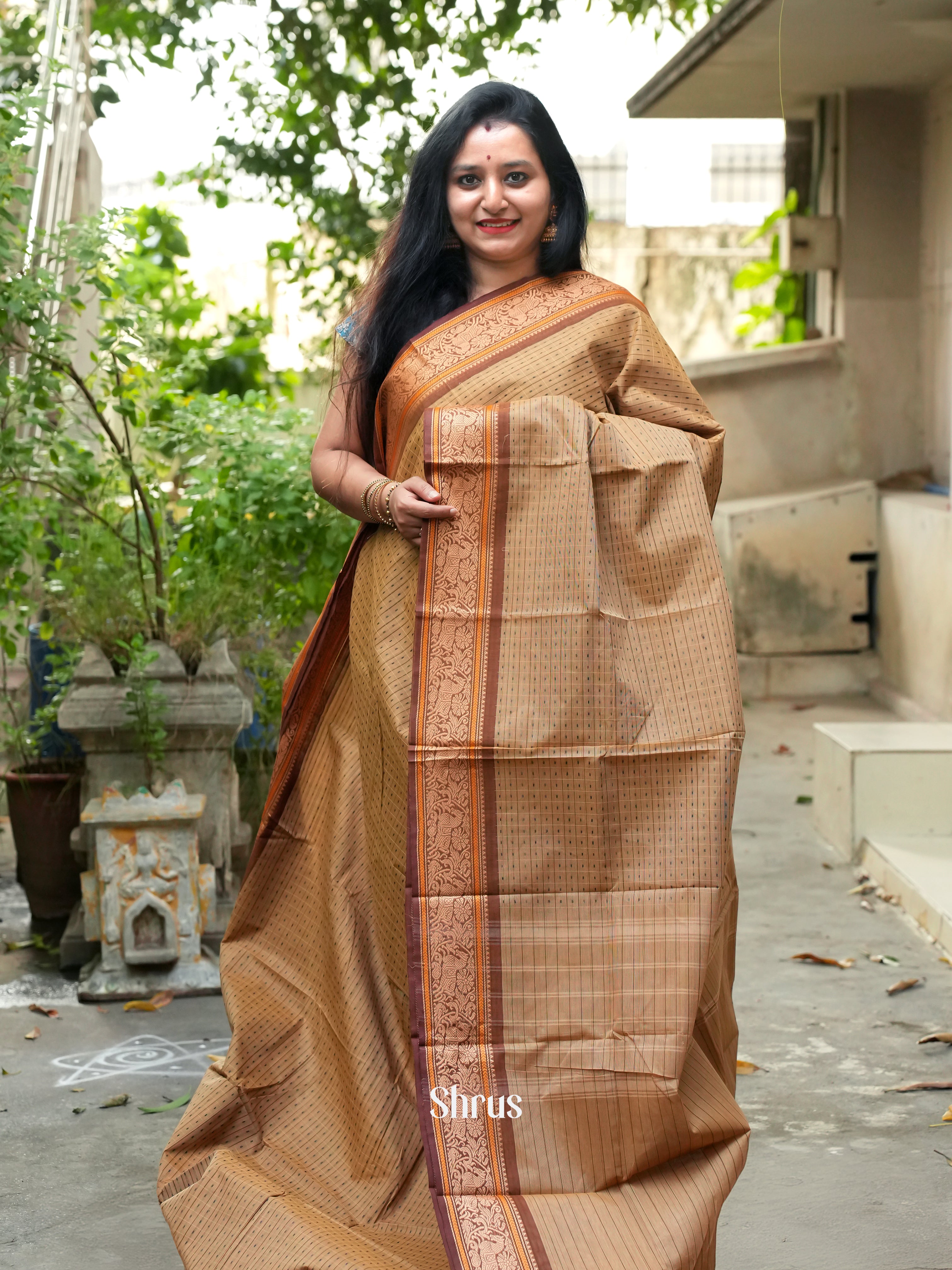 Beige & Brown - Chettinad Cotton Saree