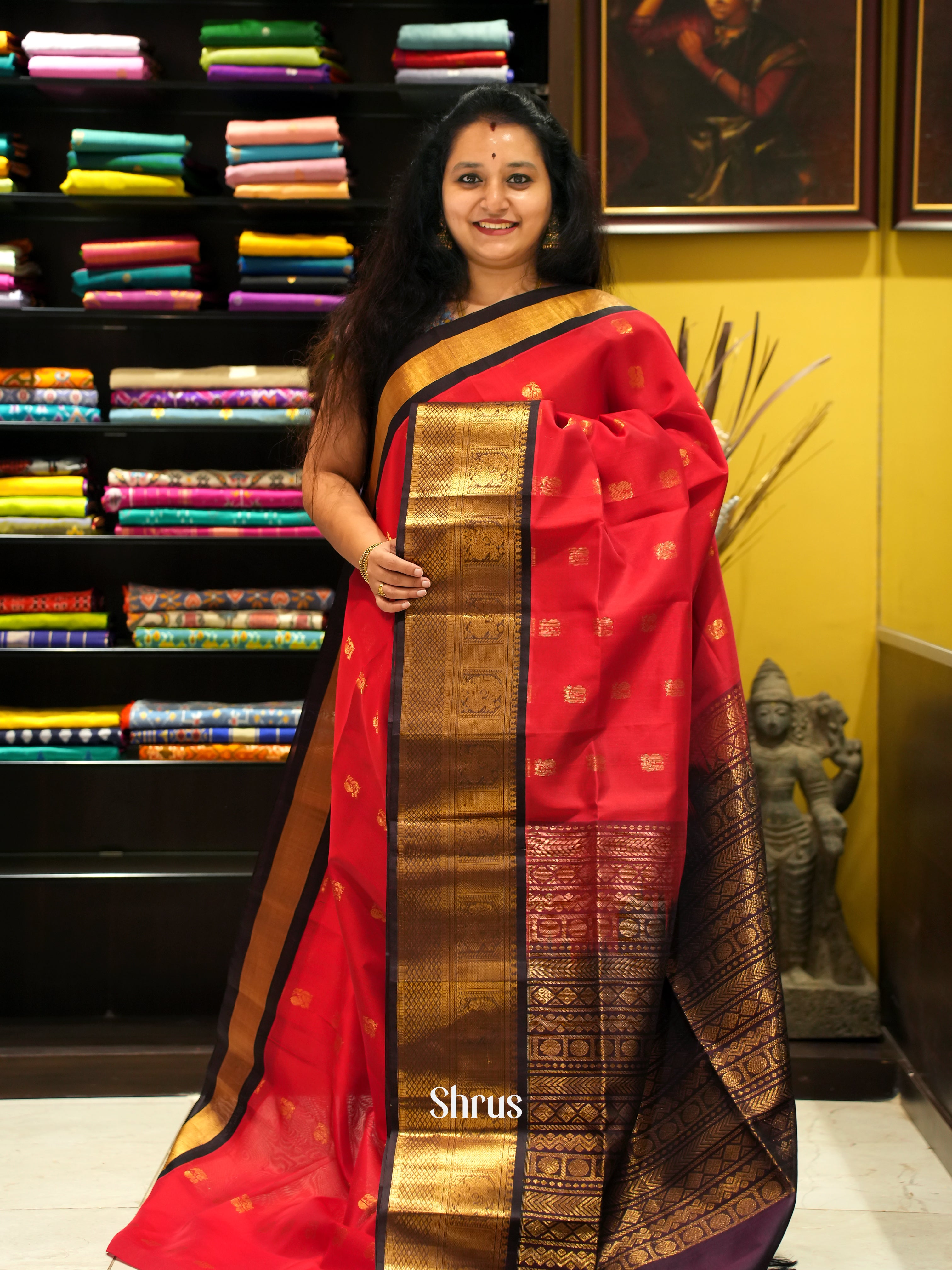 Red & Brown - Silk Cotton Saree