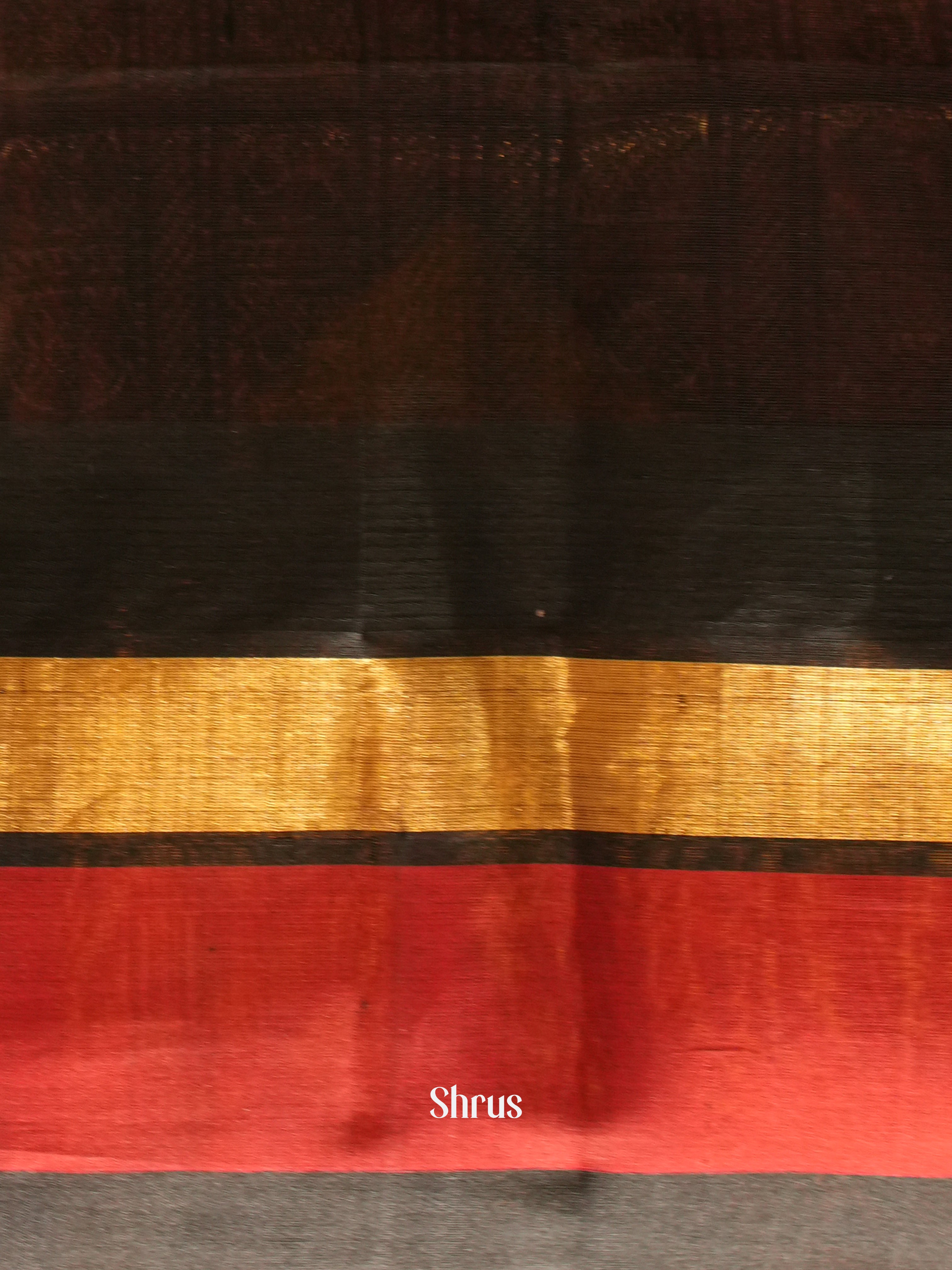 Cream & Black - Silk Cotton Saree