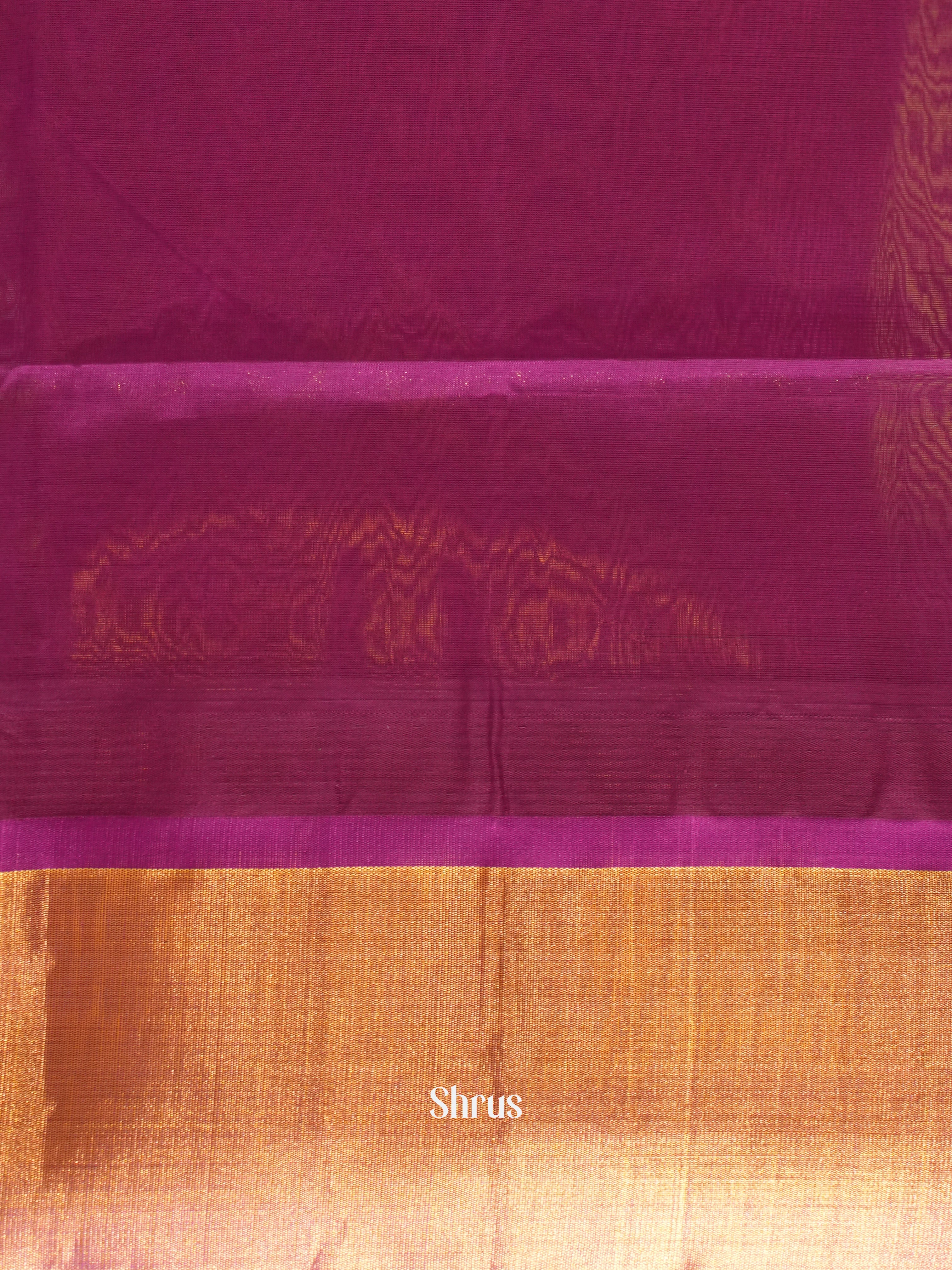 Green & Purple - Silk Cotton Saree