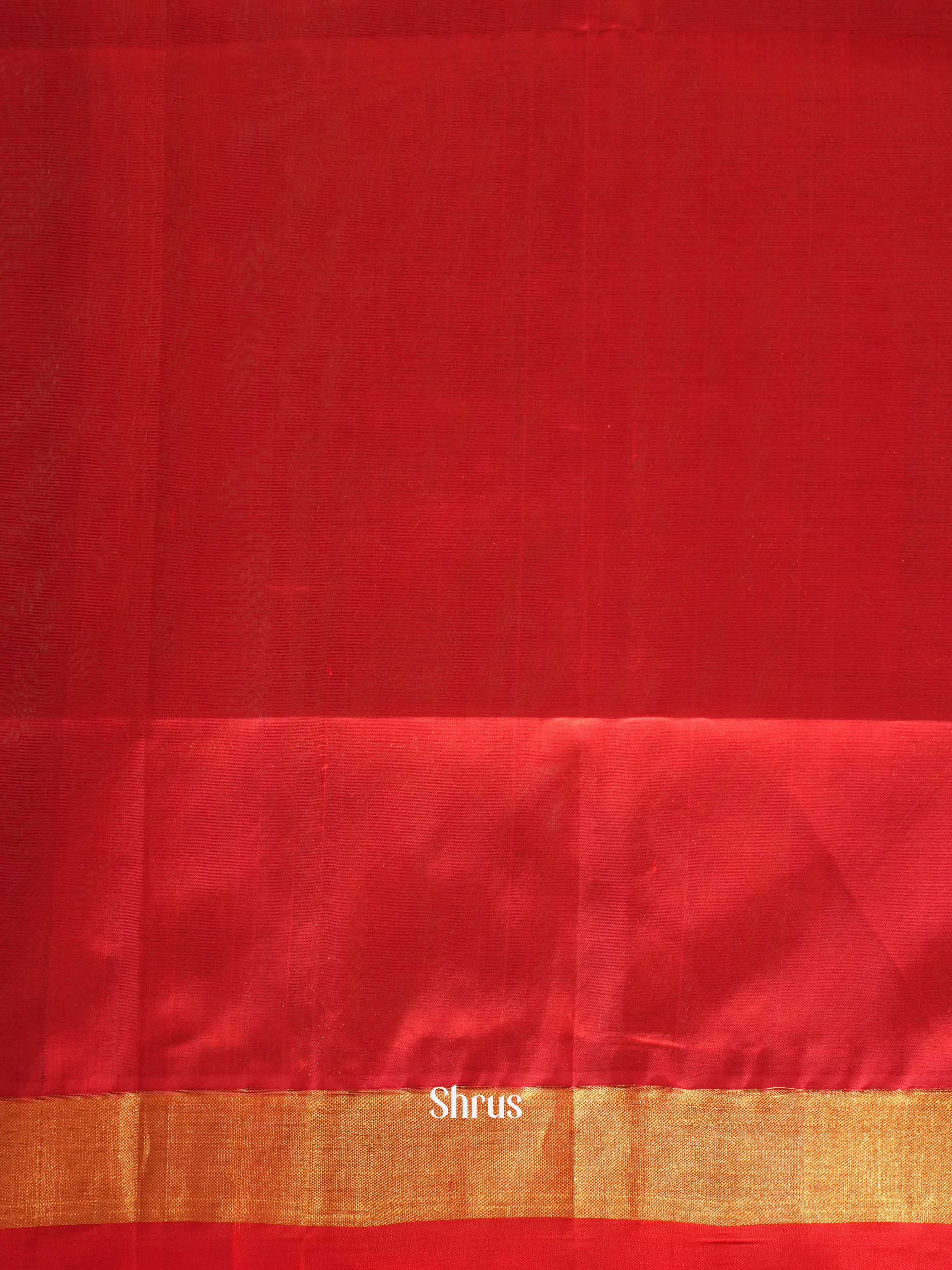 Ice Green & Red - Silk Cotton Saree