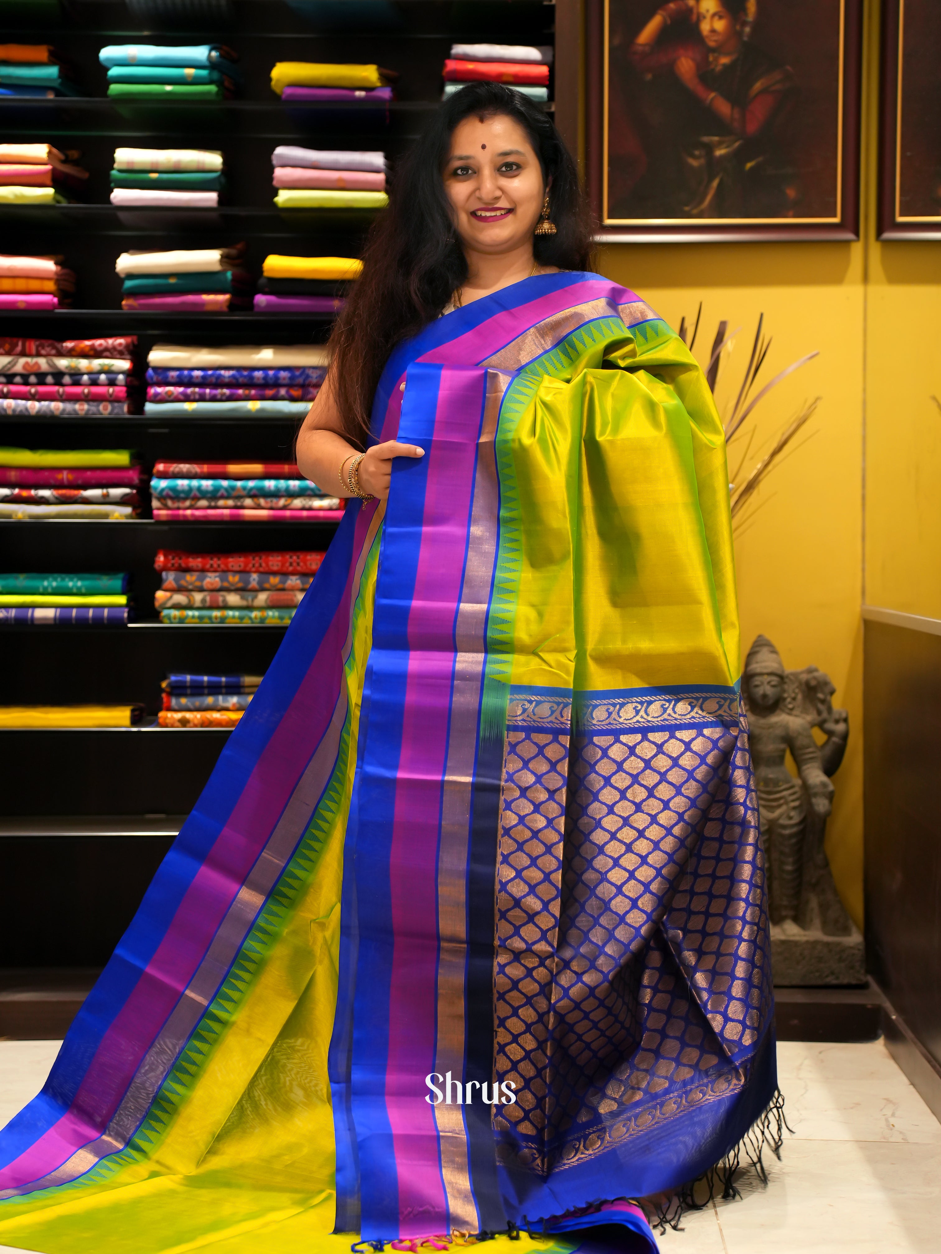 Green & Blue - Silk Cotton Saree