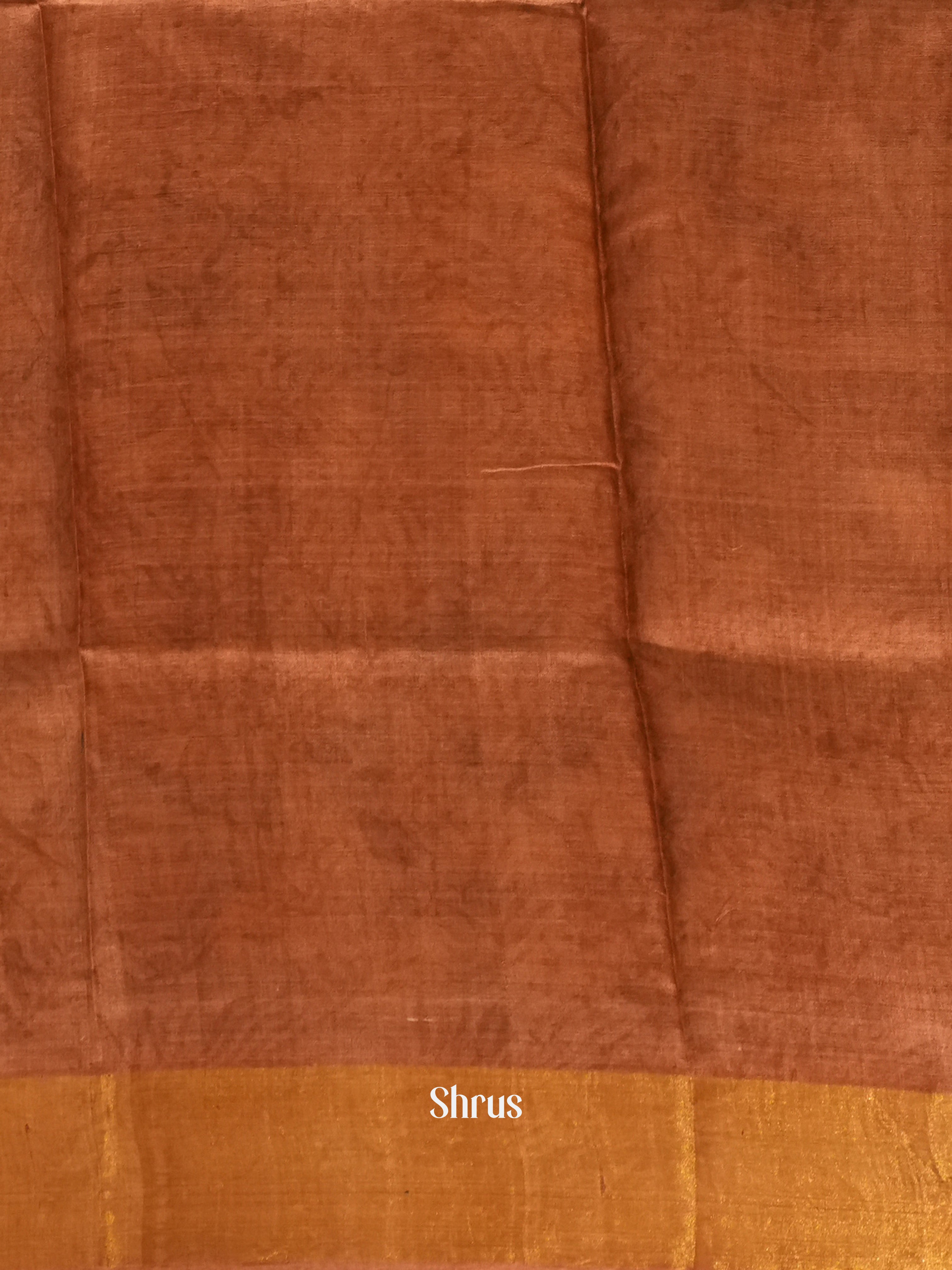 Black & Brown - Tussar Saree