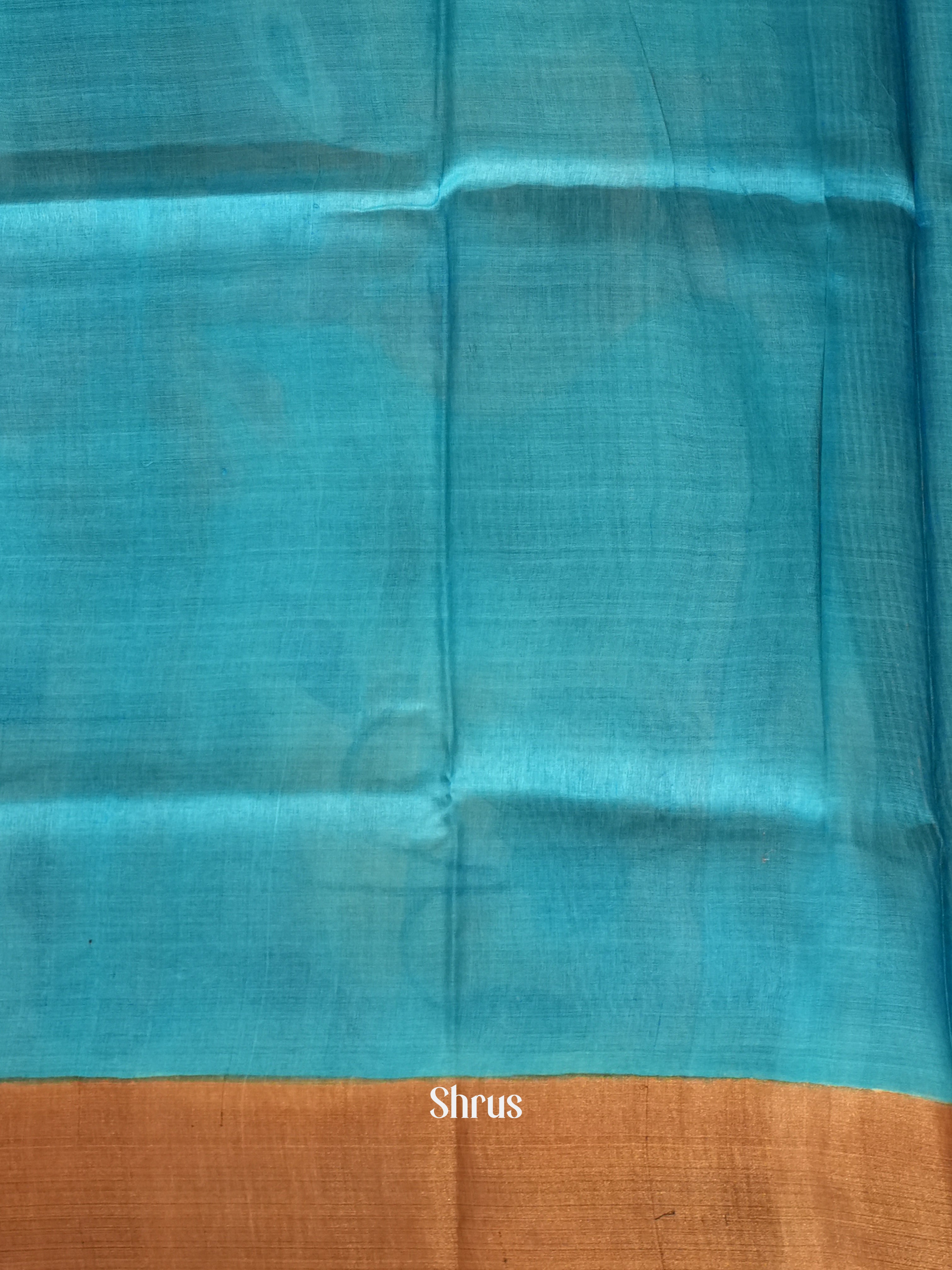 Grey & Blue - Tussar Saree