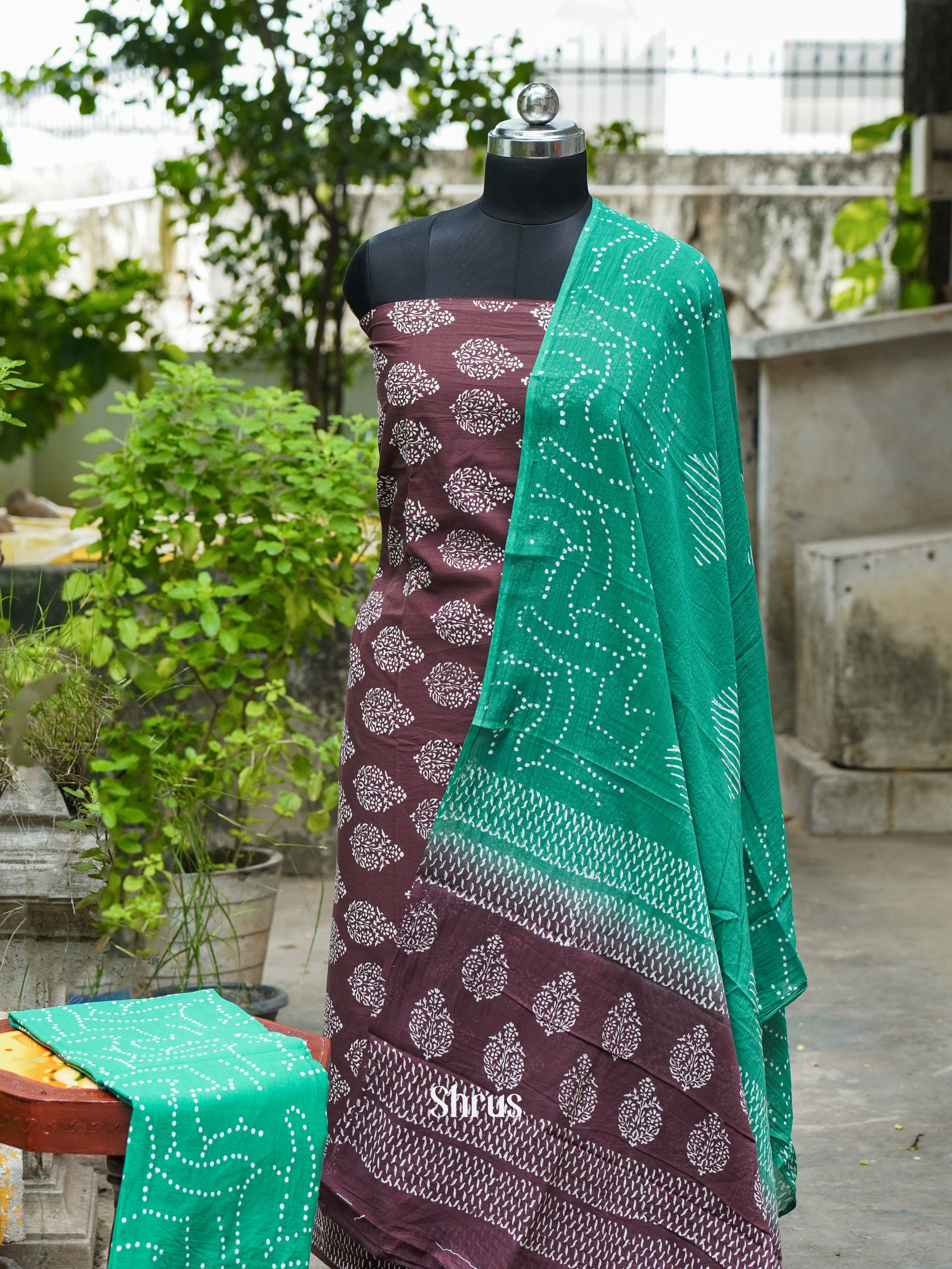 Brown & Green - Cotton Salwar