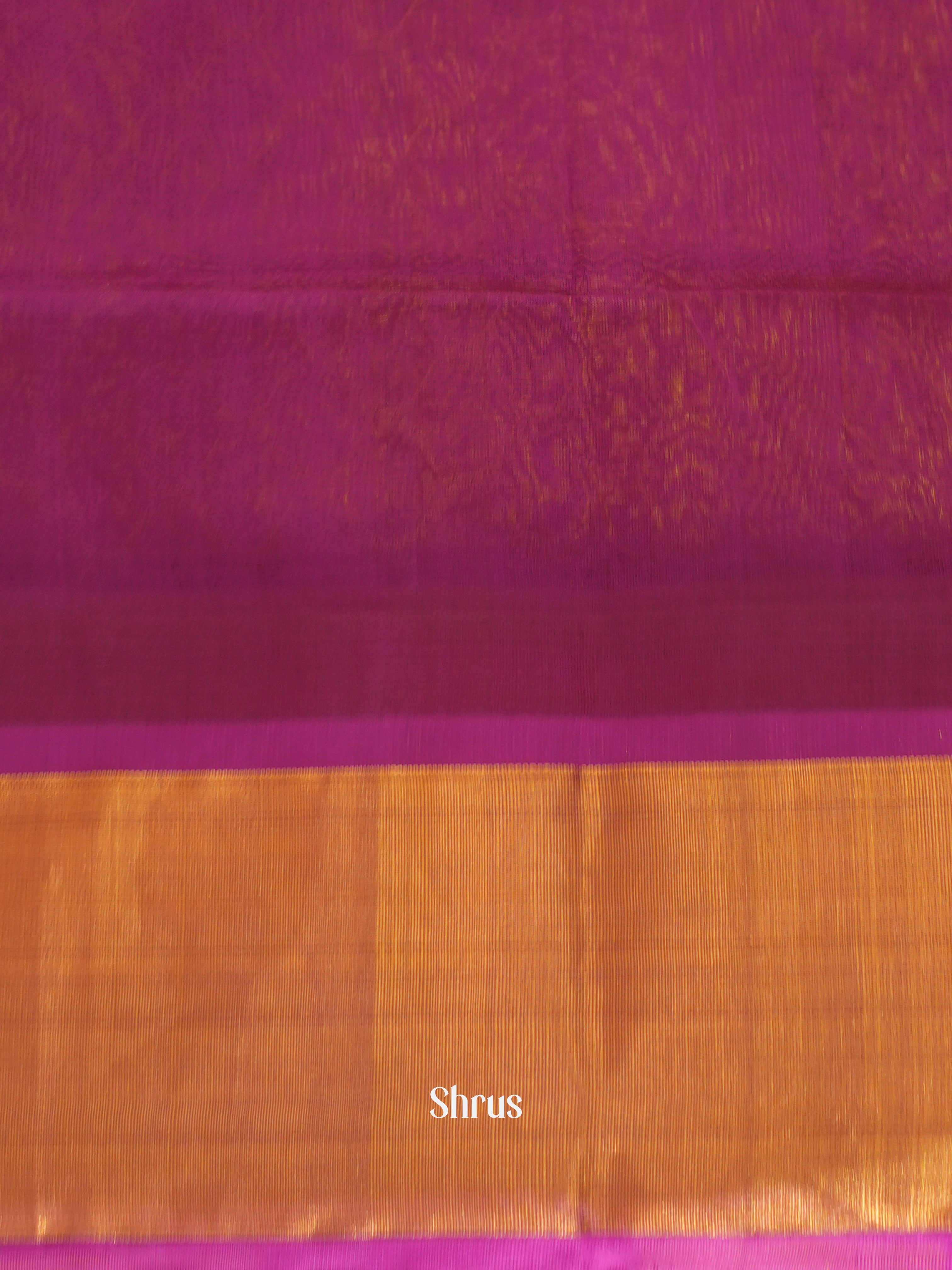 CGS10080 - Silk Cotton Saree