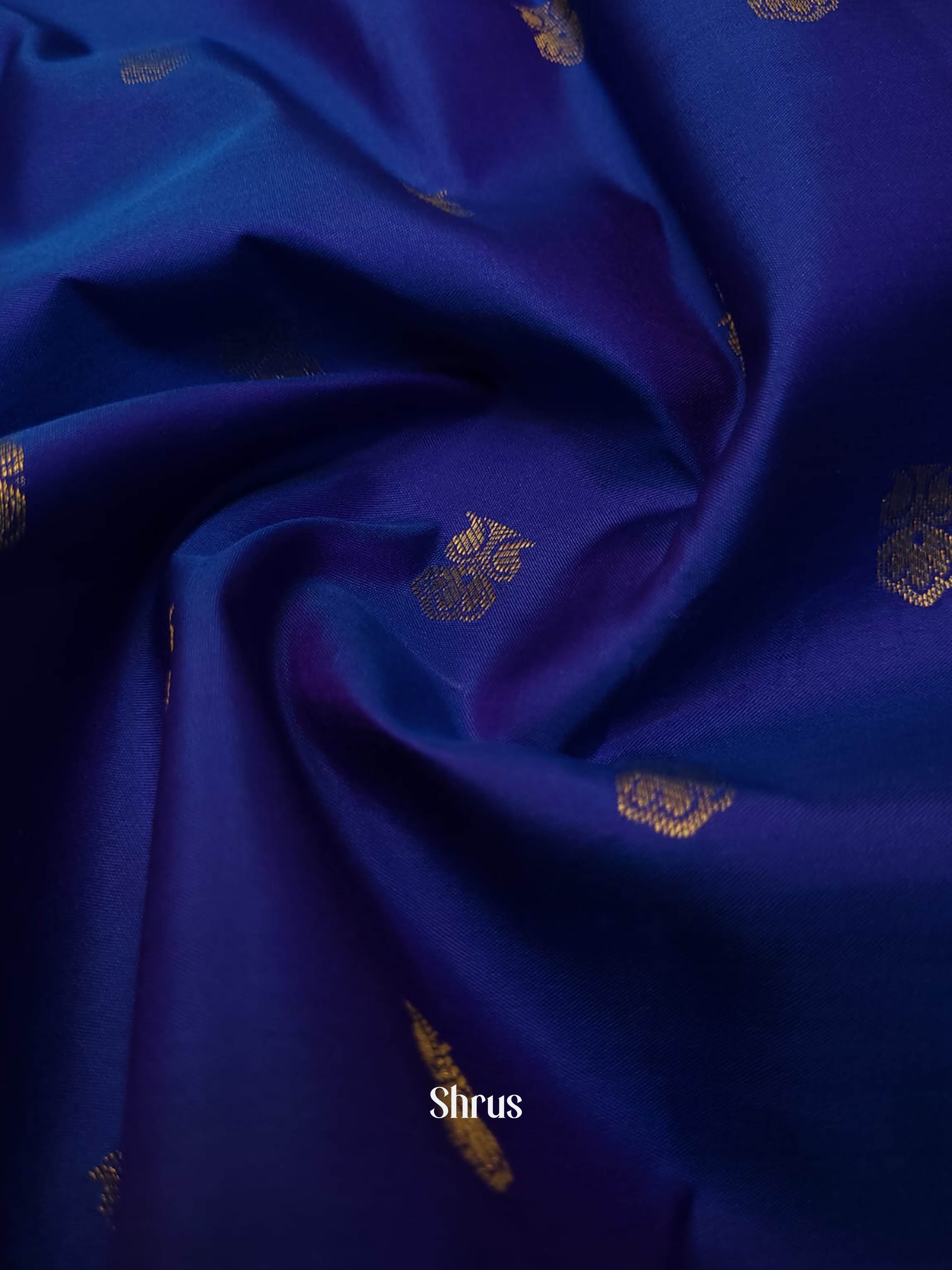 Blue & Purple - Kanchipuram silk saree